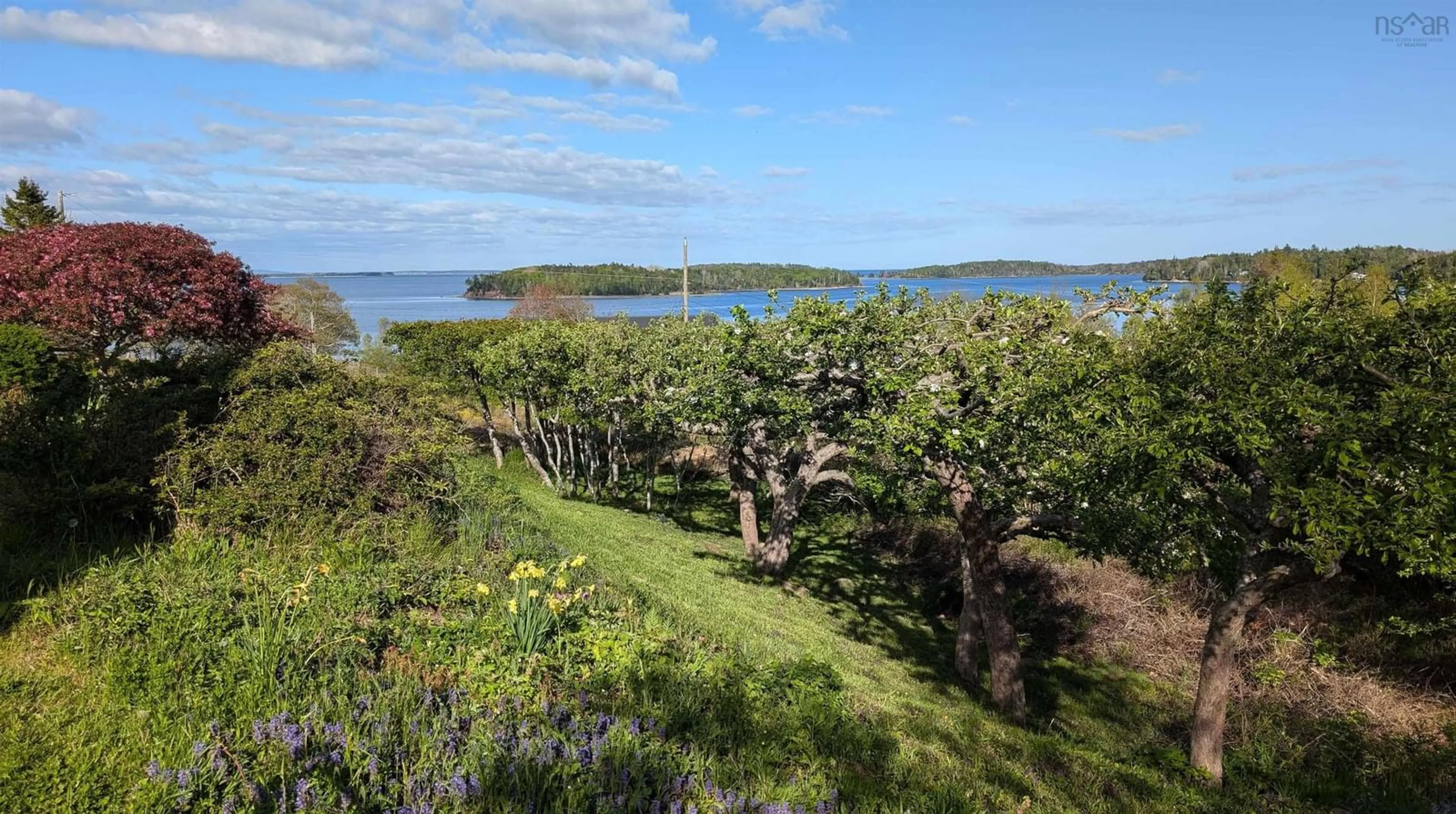 A pic from outside/outdoor area/front of a property/back of a property/a pic from drone, water/lake/river/ocean view for 400 Maders Cove Rd, Maders Cove Nova Scotia B0J 2E0