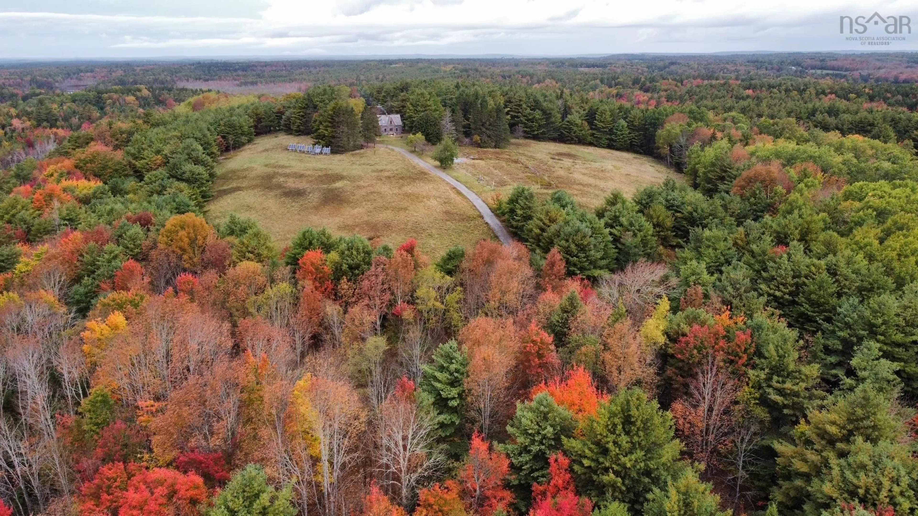 A pic from outside/outdoor area/front of a property/back of a property/a pic from drone, forest/trees view for 3228 Upper Branch Rd, Upper Branch Nova Scotia B4V 4X3