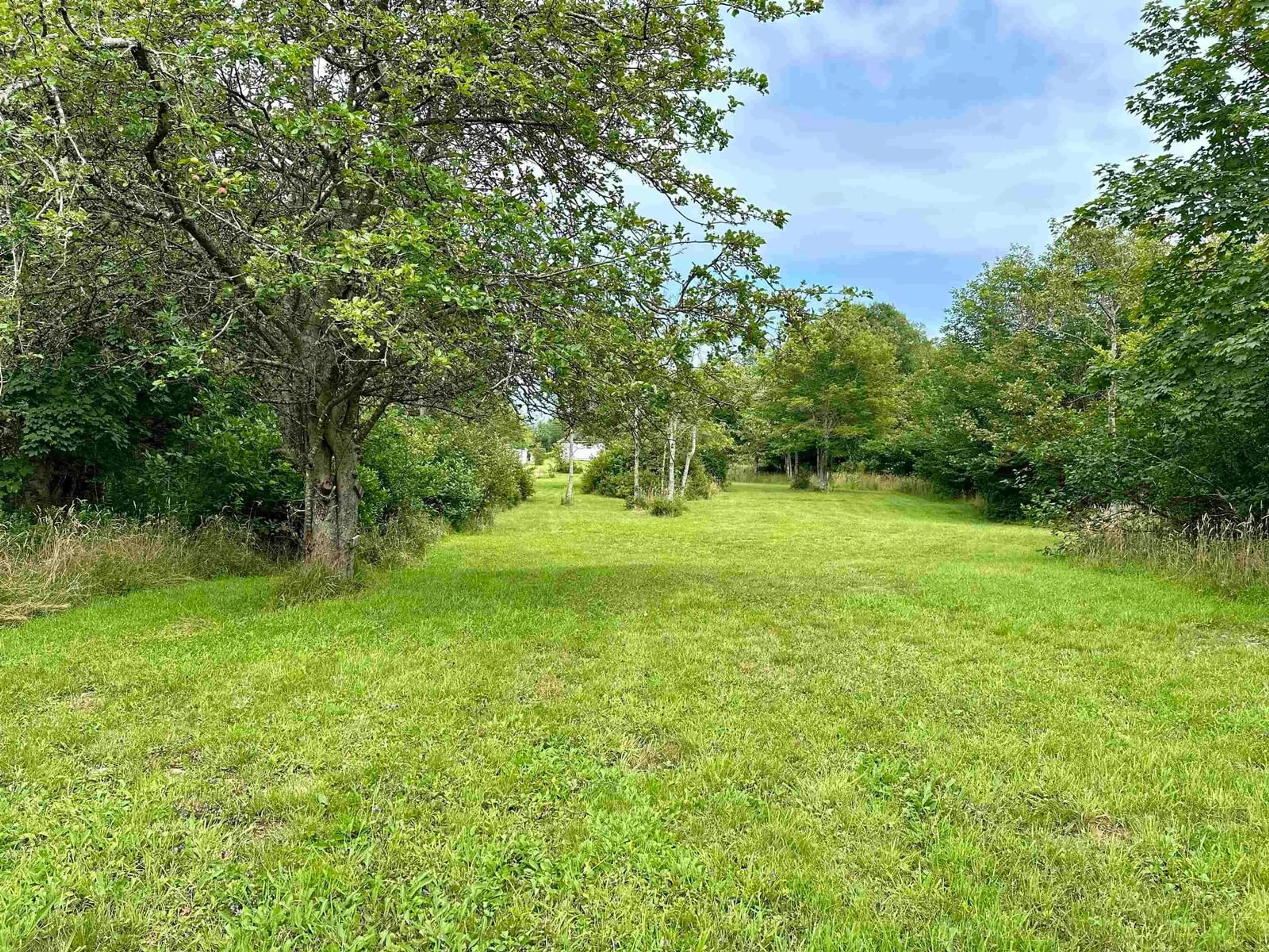 A pic from outside/outdoor area/front of a property/back of a property/a pic from drone, forest/trees view for 385 Brighton Rd, Lockeport Nova Scotia B0T 1L0