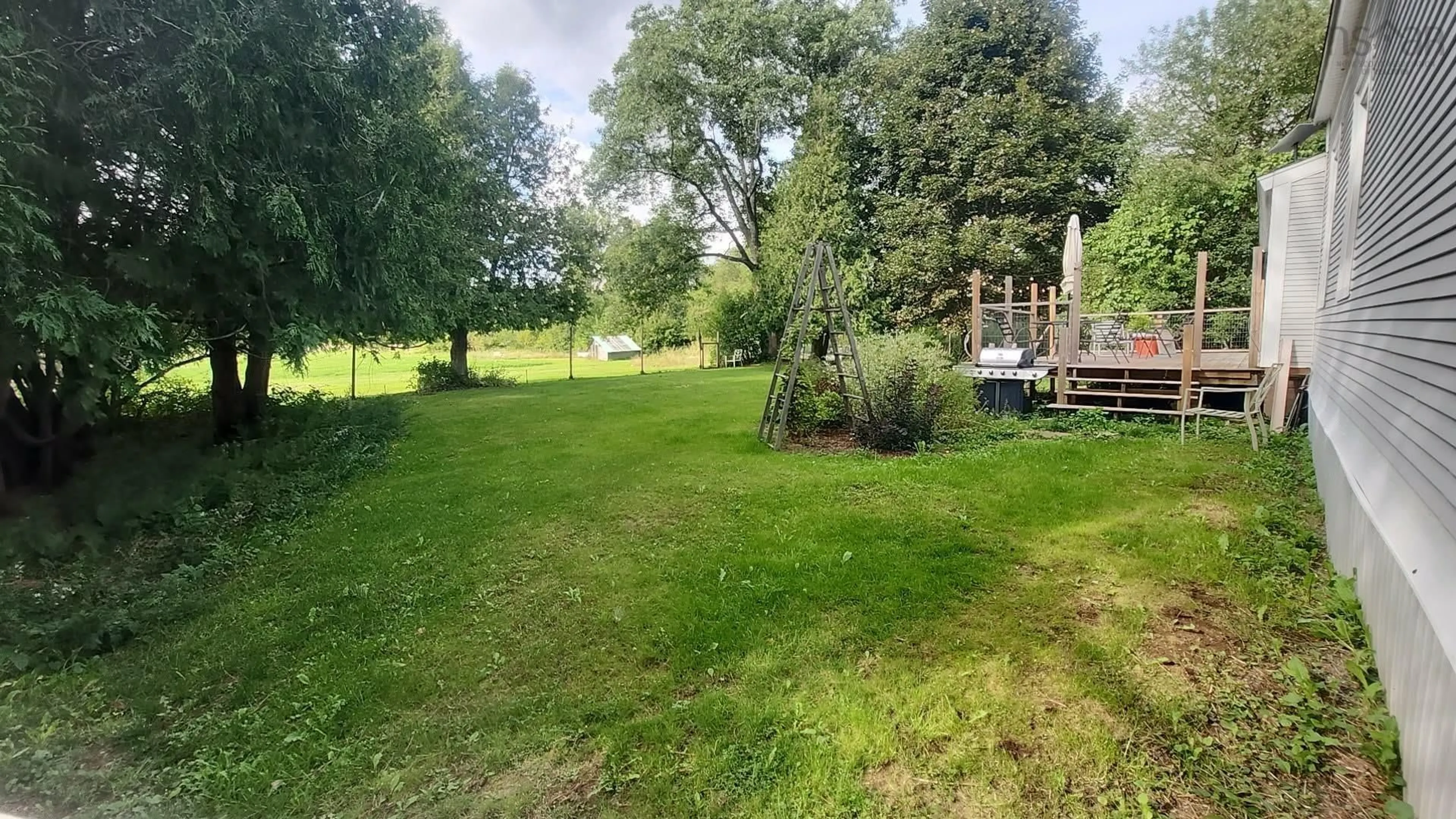 A pic from outside/outdoor area/front of a property/back of a property/a pic from drone, forest/trees view for 4747 Canaan Rd, Southampton Nova Scotia B0M 1W0