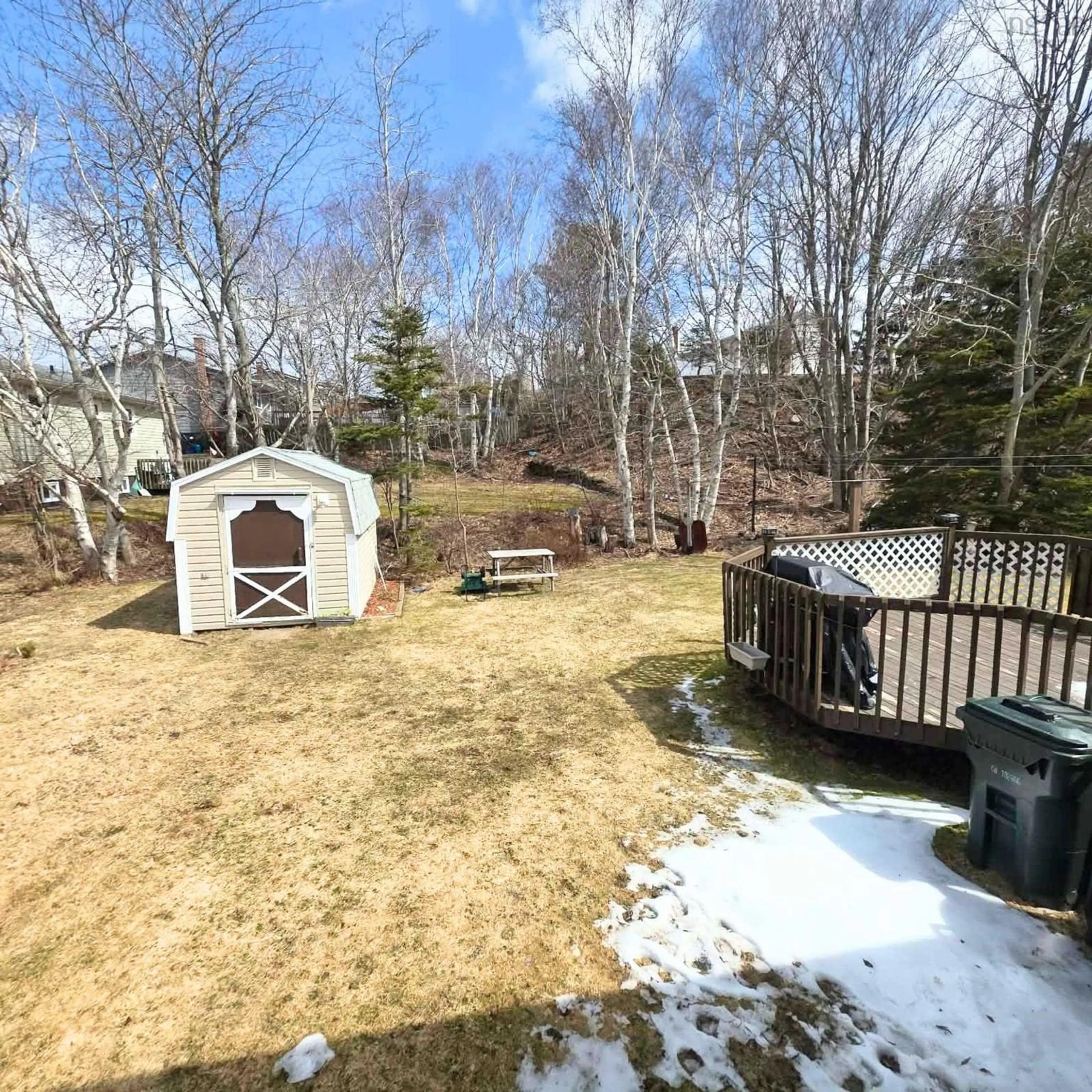 Unknown for 99 Ranna Dr, Sydney Nova Scotia B1P 3Y5