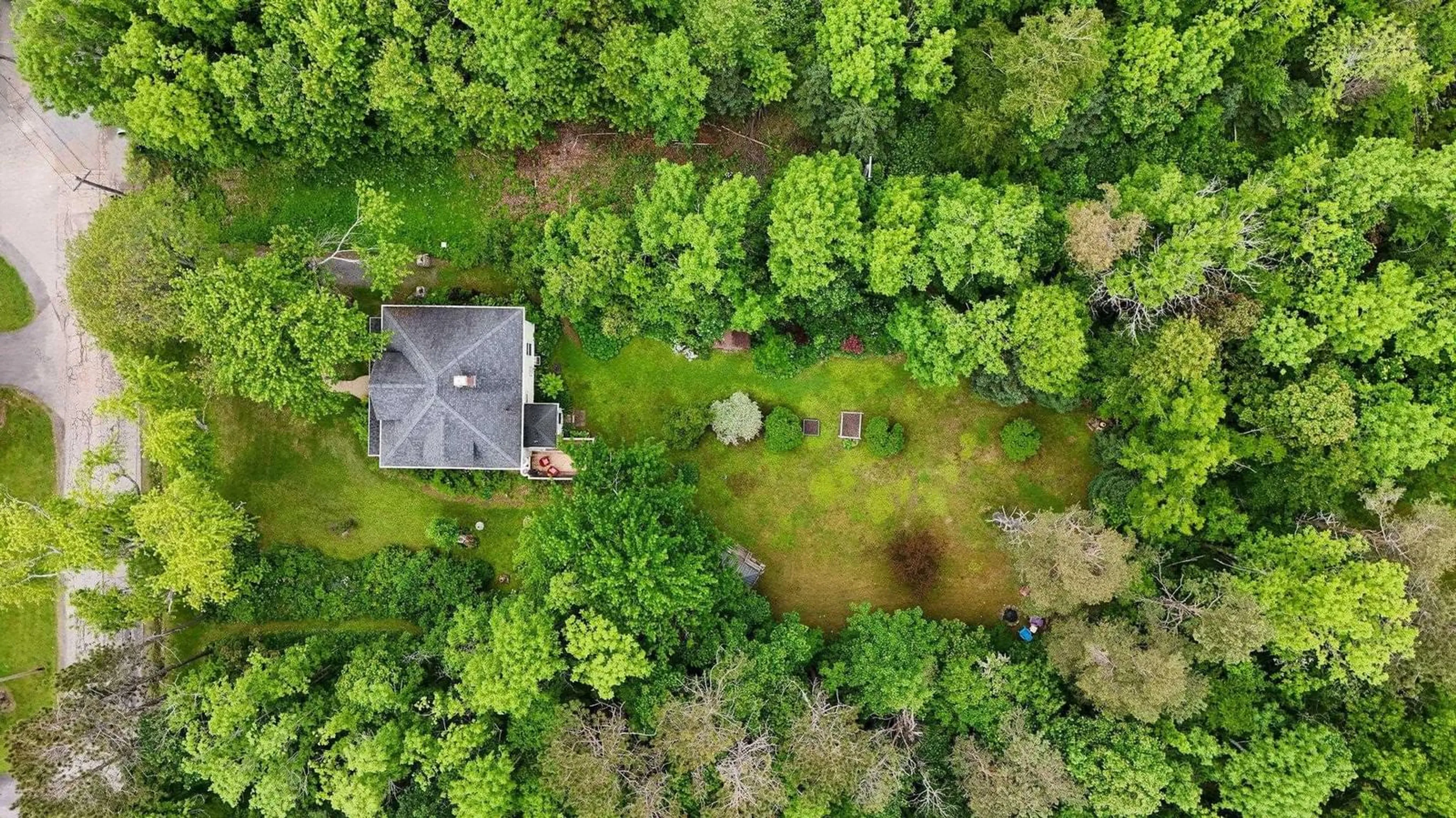 A pic from outside/outdoor area/front of a property/back of a property/a pic from drone, forest/trees view for 118 Patterson St, Pictou Nova Scotia B0K 1H0