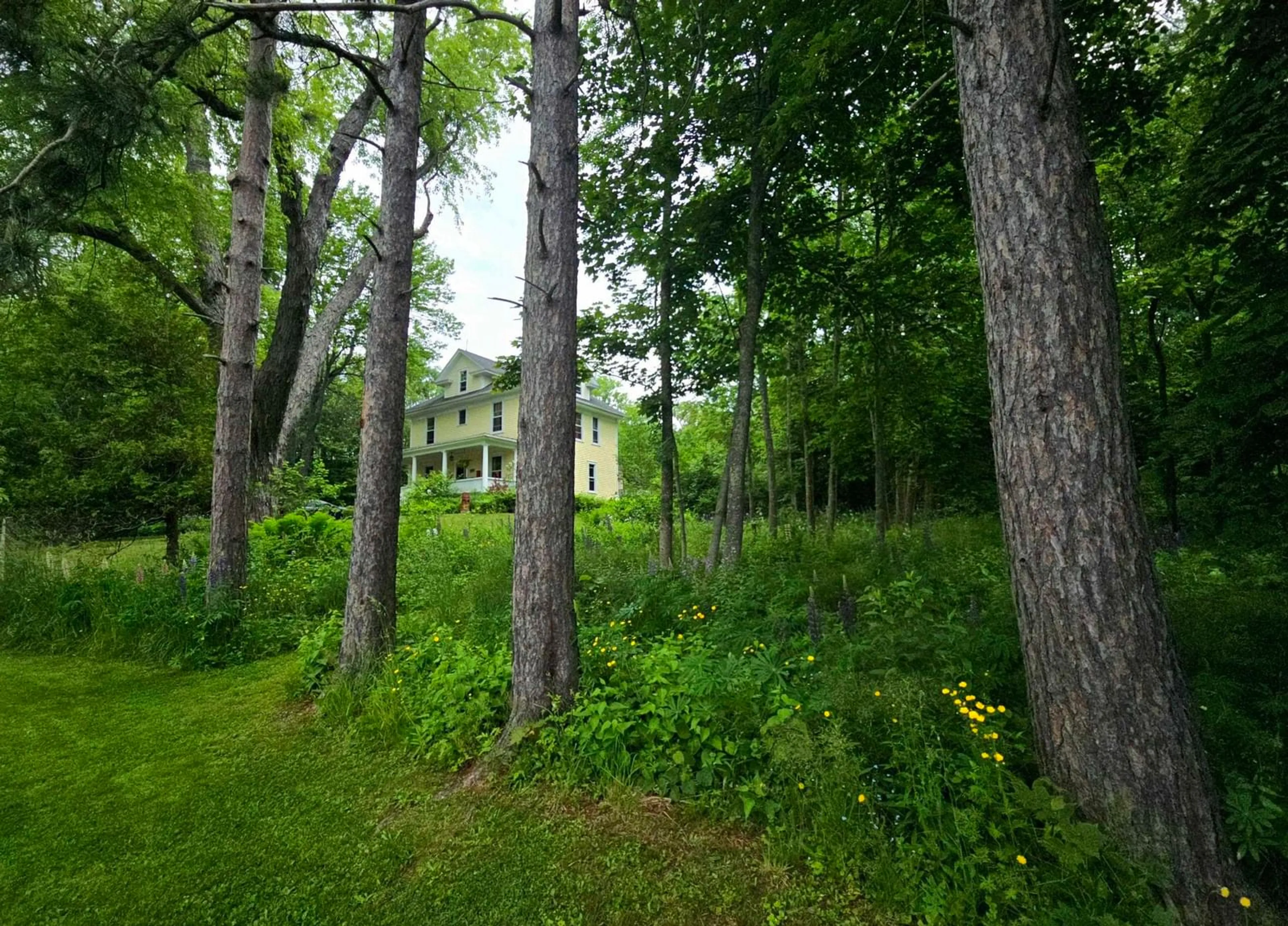 Unknown for 118 Patterson St, Pictou Nova Scotia B0K 1H0