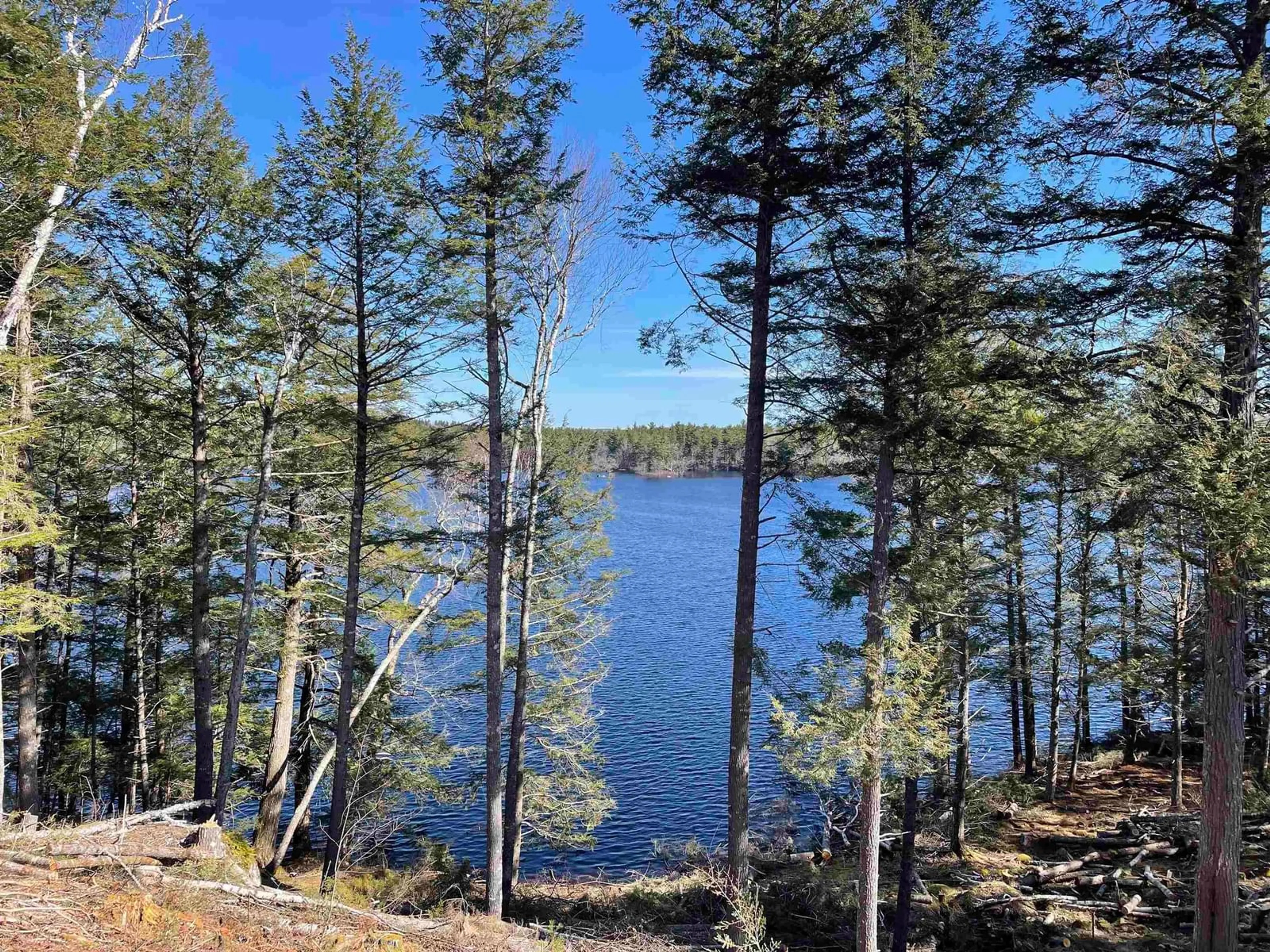 A pic from outside/outdoor area/front of a property/back of a property/a pic from drone, water/lake/river/ocean view for No 8 Hwy #Lot 4, South Brookfield Nova Scotia B0T 1X0