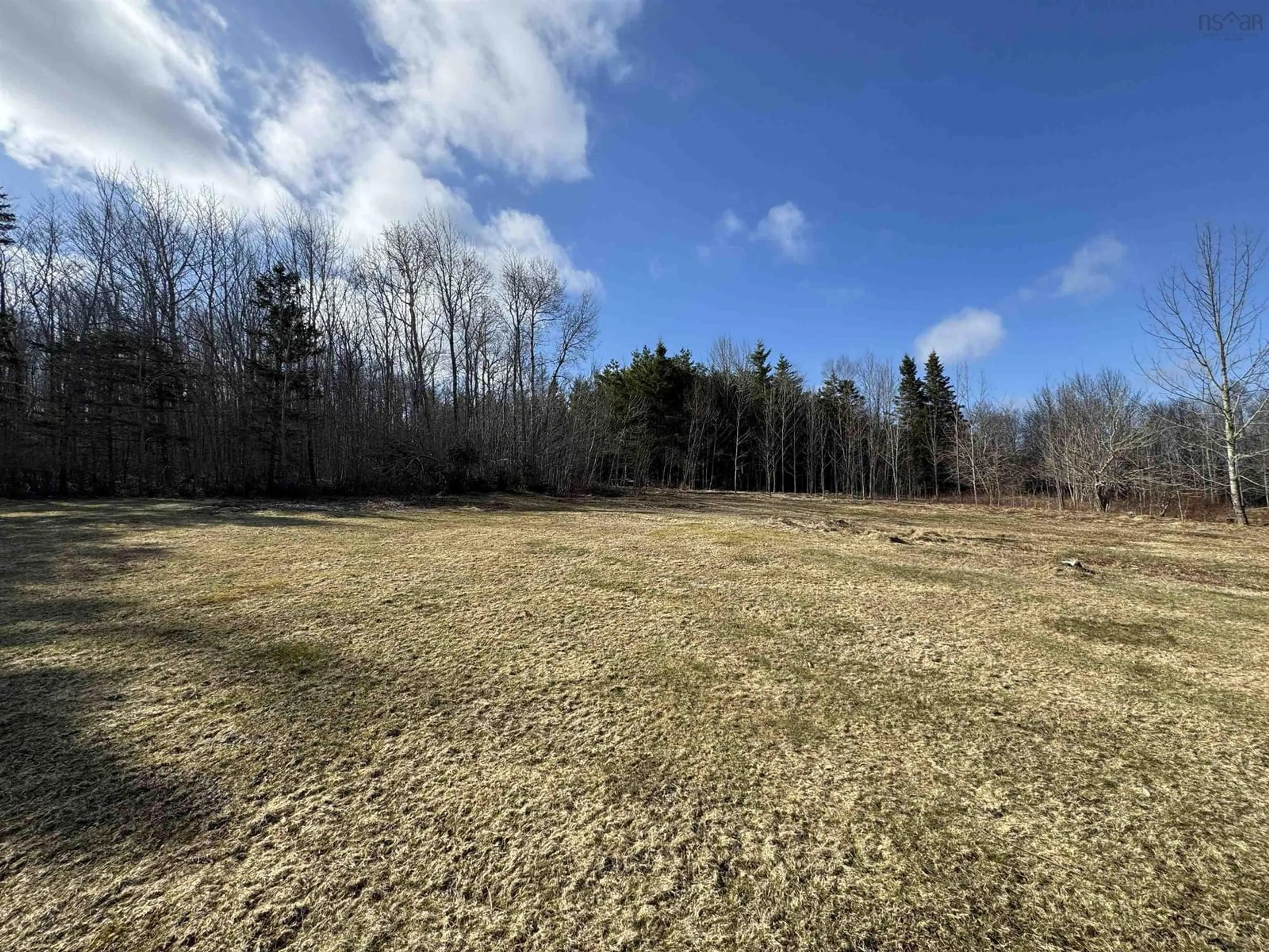 A pic from outside/outdoor area/front of a property/back of a property/a pic from drone, forest/trees view for 102 East Torbrook Rd, South Tremont Nova Scotia B0P 1R0