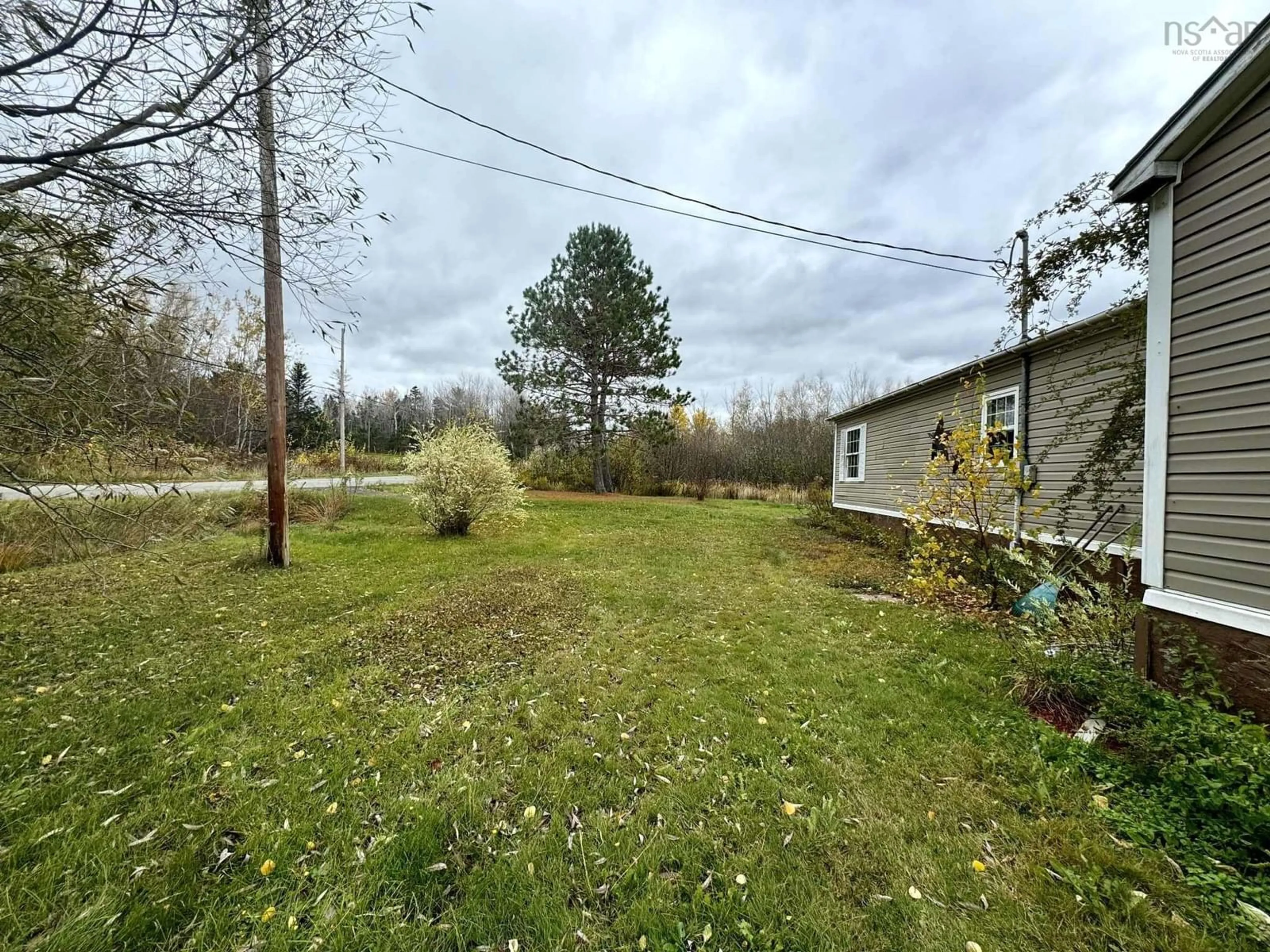 A pic from outside/outdoor area/front of a property/back of a property/a pic from drone, forest/trees view for 269 Chance Harbour Rd, Hillside Nova Scotia B0K 1X0