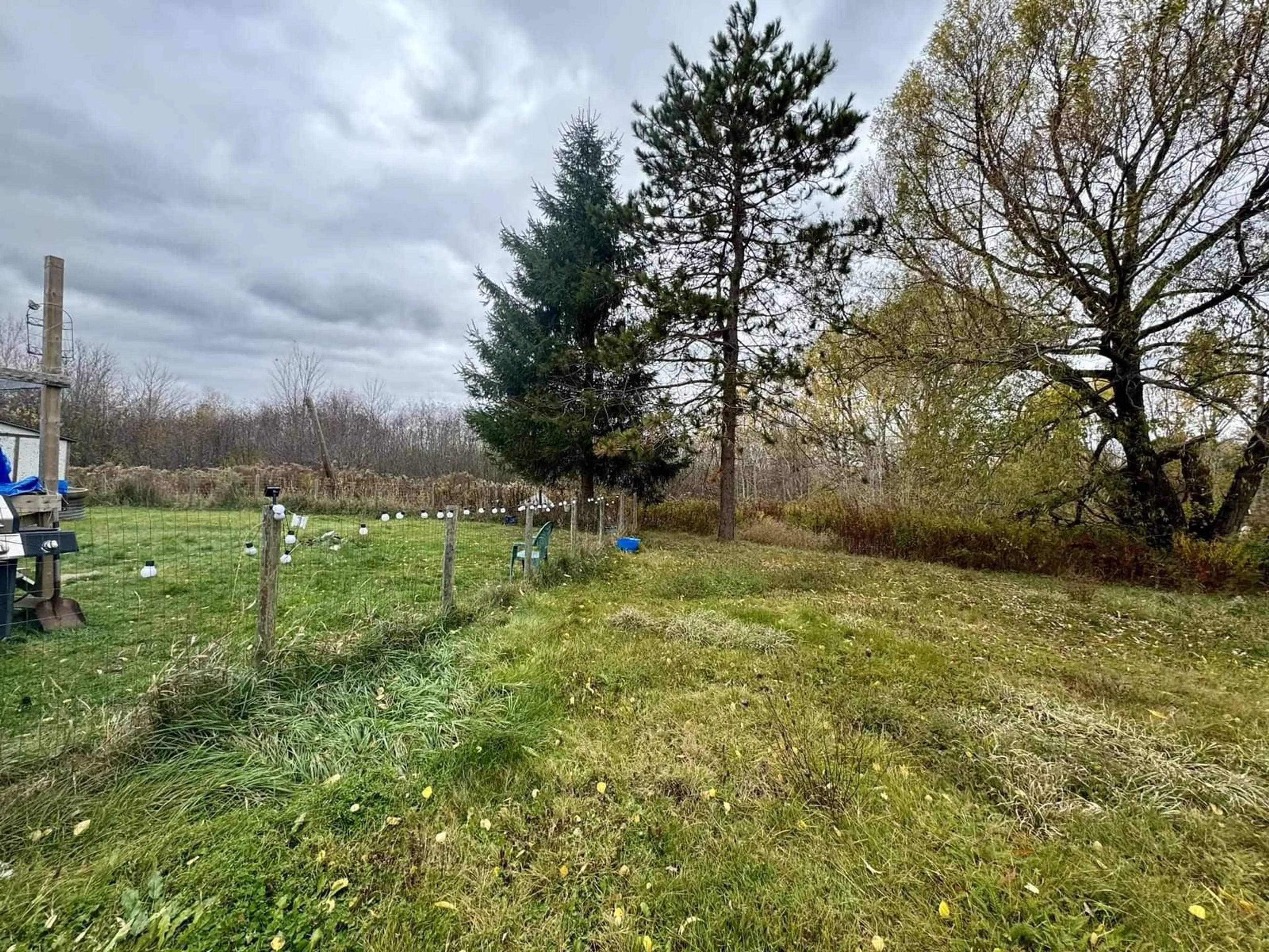 A pic from outside/outdoor area/front of a property/back of a property/a pic from drone, forest/trees view for 269 Chance Harbour Rd, Hillside Nova Scotia B0K 1X0