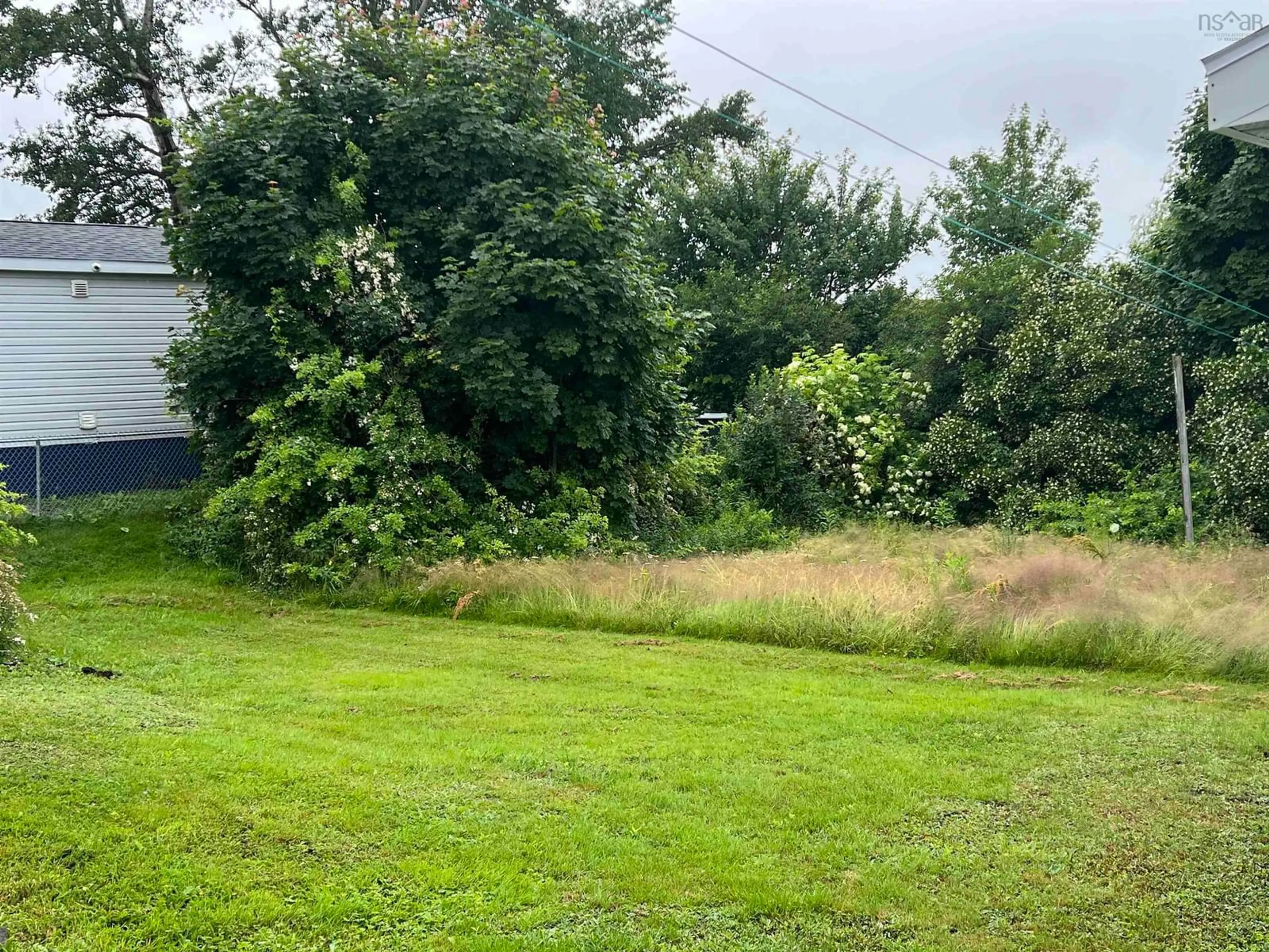 A pic from outside/outdoor area/front of a property/back of a property/a pic from drone, forest/trees view for 56 Fraser Ave, Sydney Mines Nova Scotia B1V 2C3