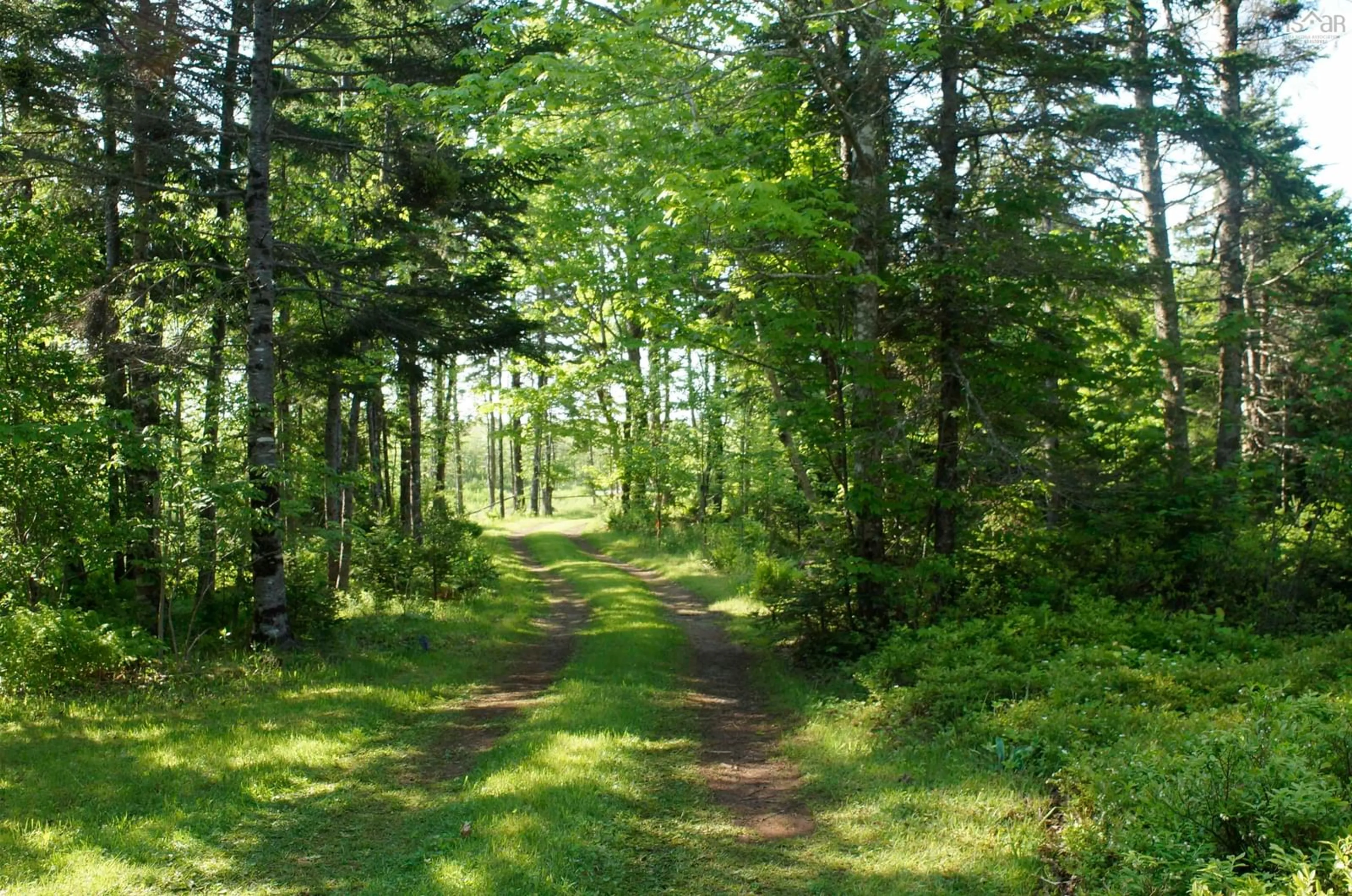 Blurry image for 4031 Loch Lomond Rd, Loch Lomond Nova Scotia B0A 1H0