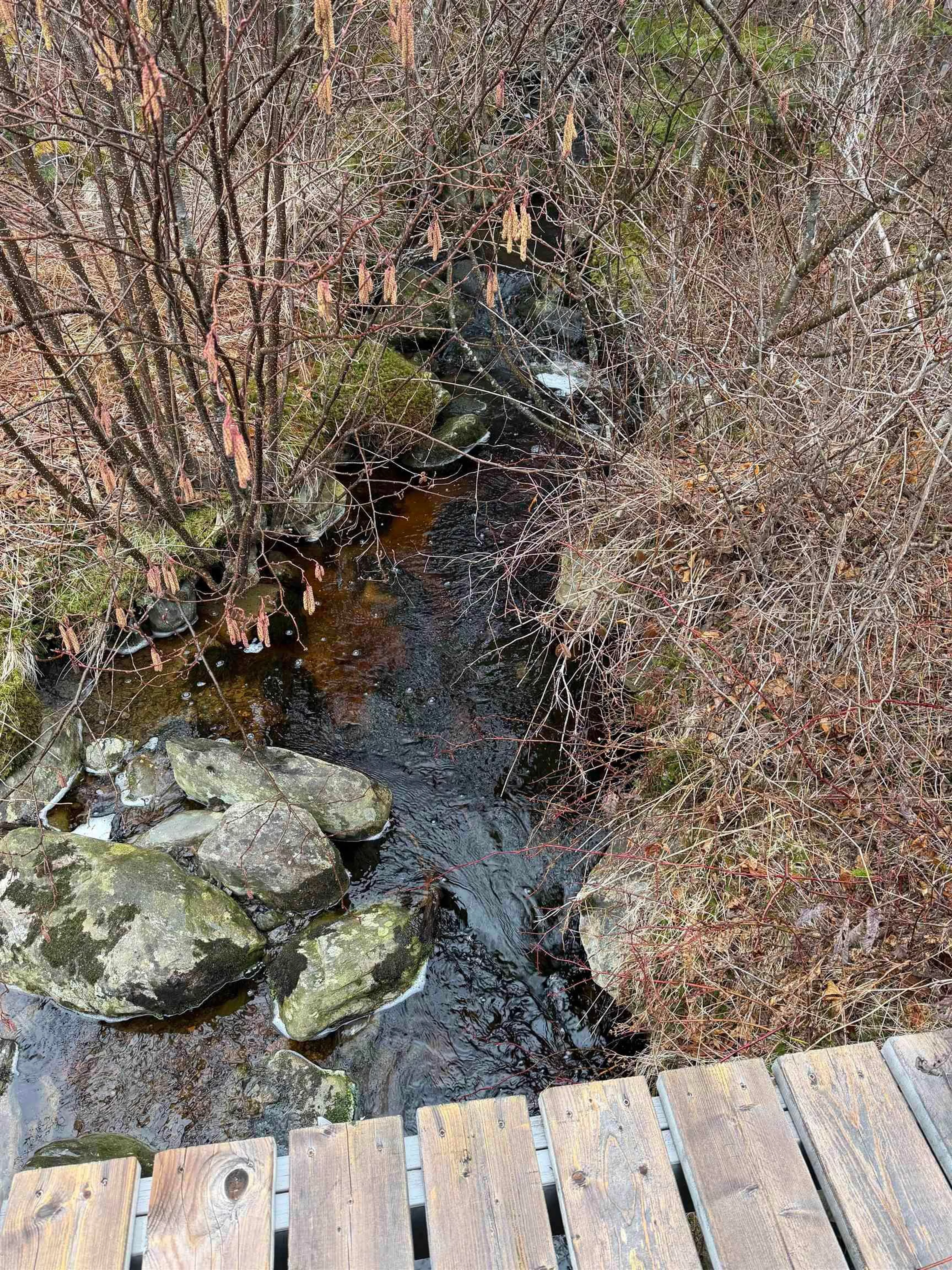 A pic from outside/outdoor area/front of a property/back of a property/a pic from drone, water/lake/river/ocean view for 523 Little Liscomb Rd, Little Liscomb Nova Scotia B0J 2G0
