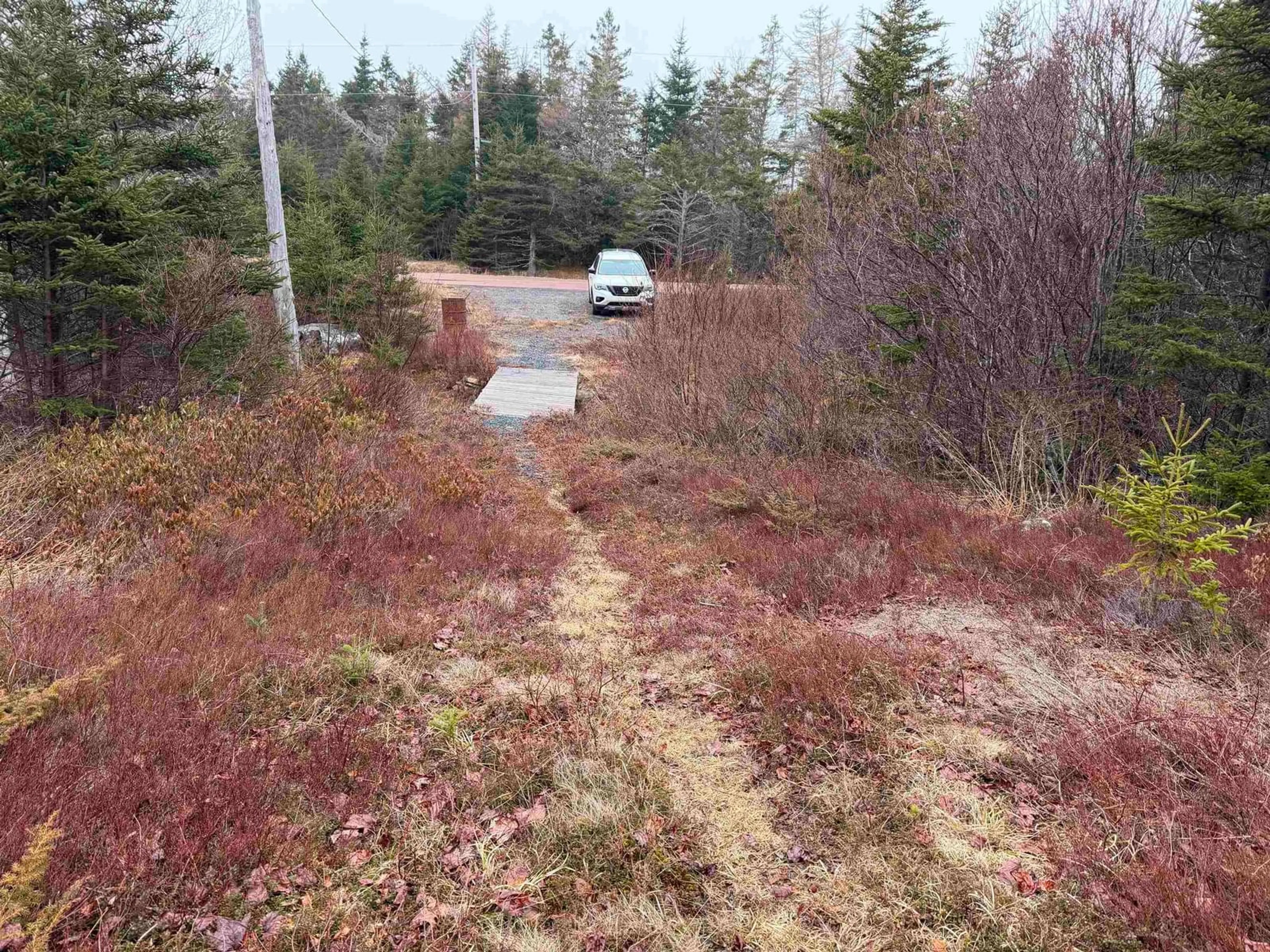 A pic from outside/outdoor area/front of a property/back of a property/a pic from drone, forest/trees view for 523 Little Liscomb Rd, Little Liscomb Nova Scotia B0J 2G0