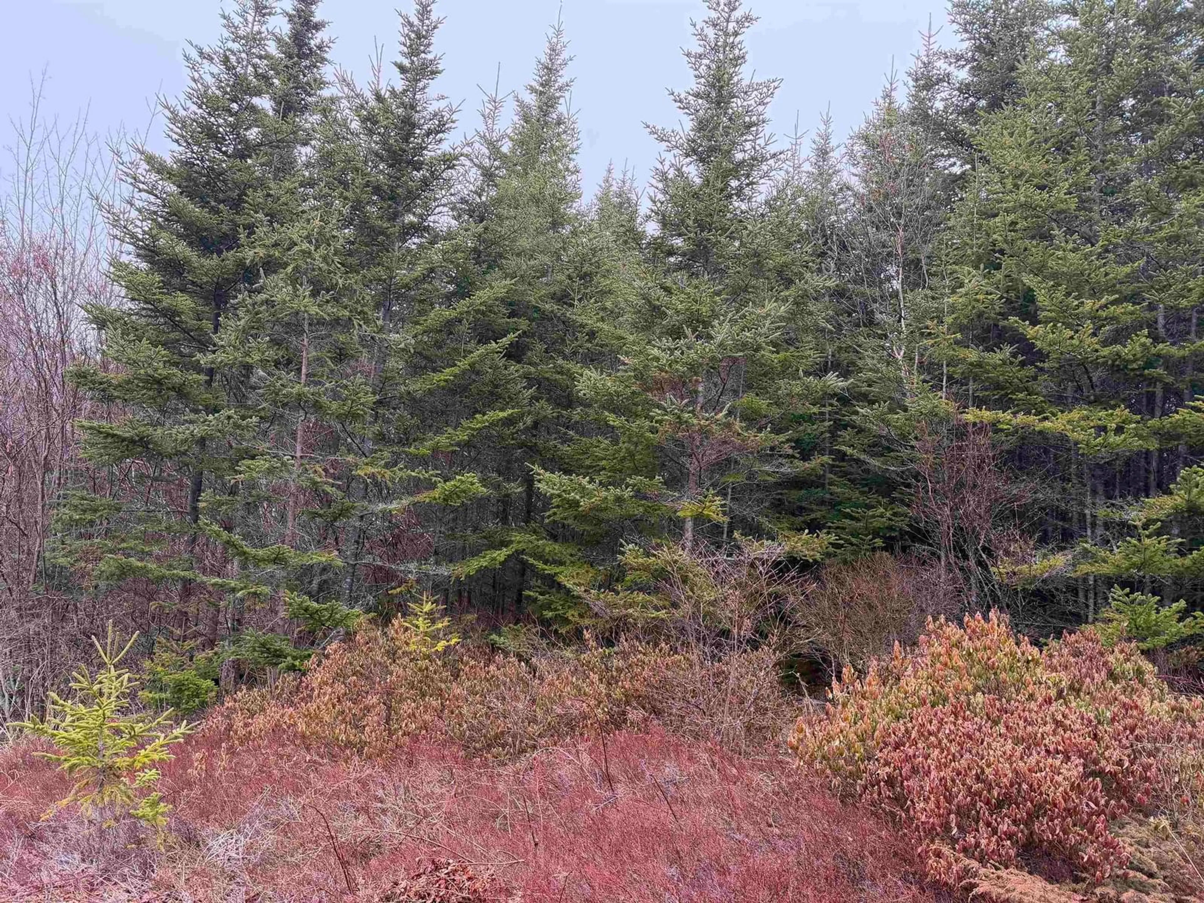 Unknown for 523 Little Liscomb Rd, Little Liscomb Nova Scotia B0J 2G0