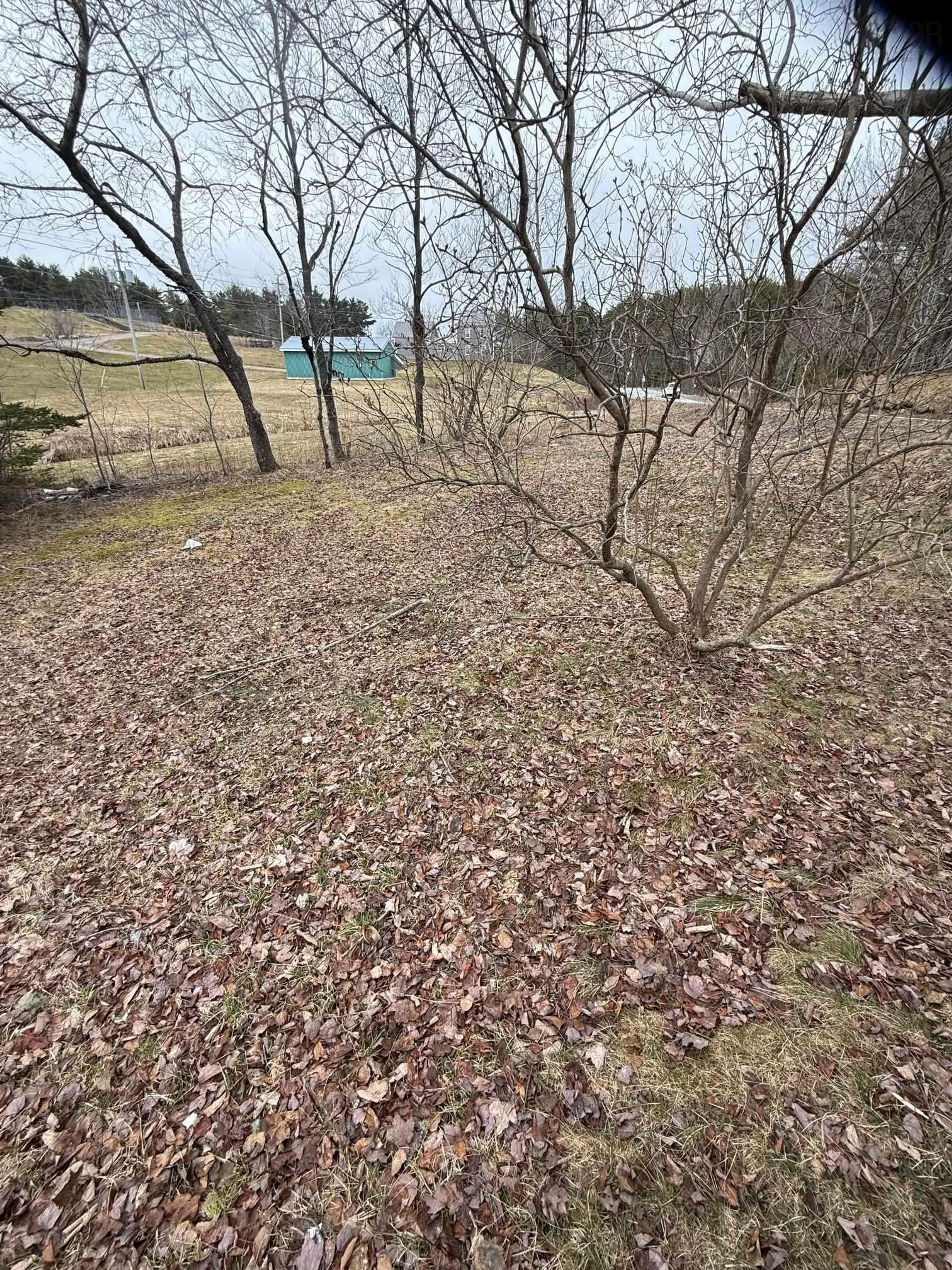 A pic from outside/outdoor area/front of a property/back of a property/a pic from drone, forest/trees view for 432 Aberdeen Rd, Bridgewater Nova Scotia B4V 2T2