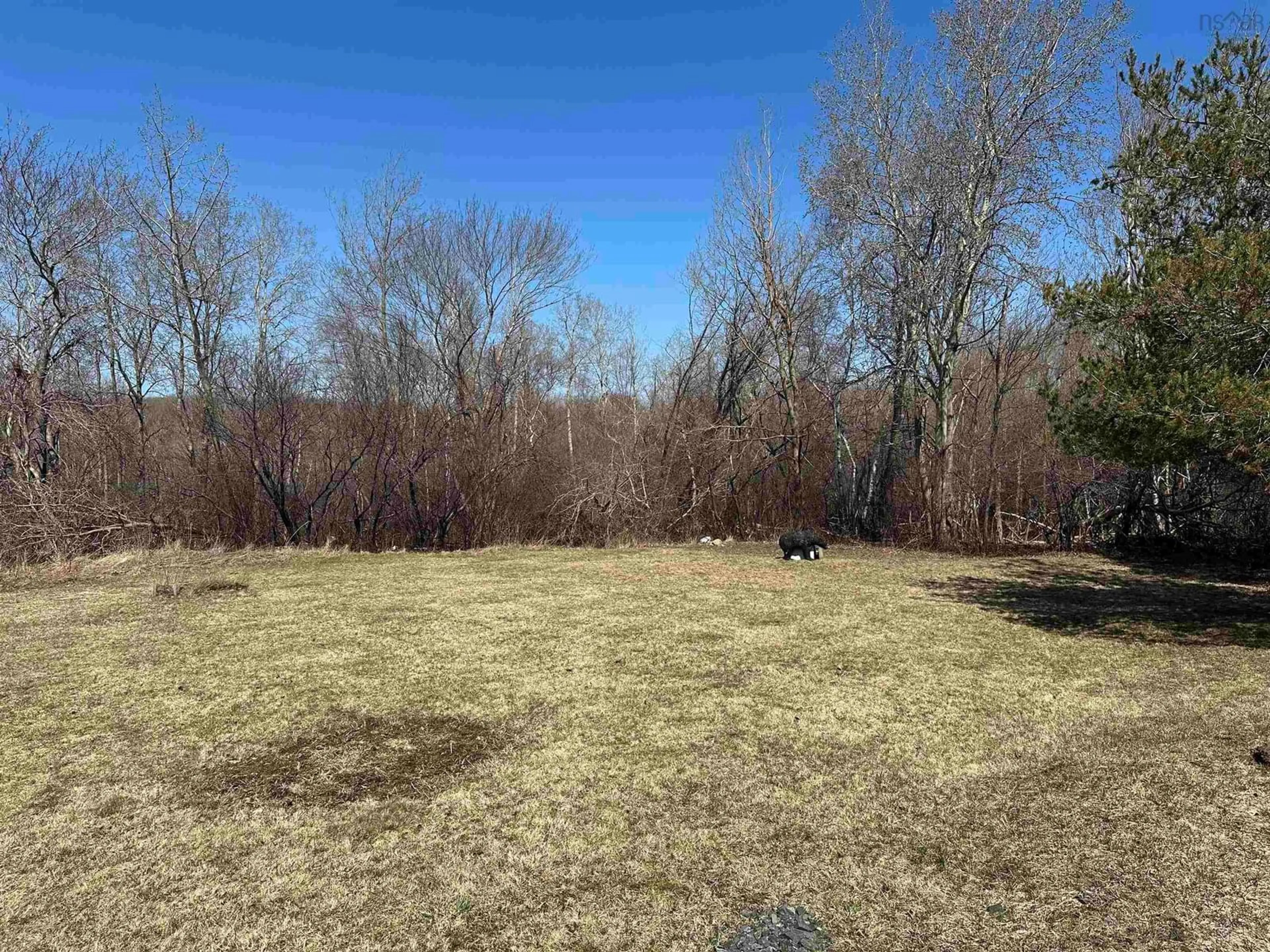 A pic from outside/outdoor area/front of a property/back of a property/a pic from drone, forest/trees view for 55 First St, Trenton Nova Scotia B0K 1X0