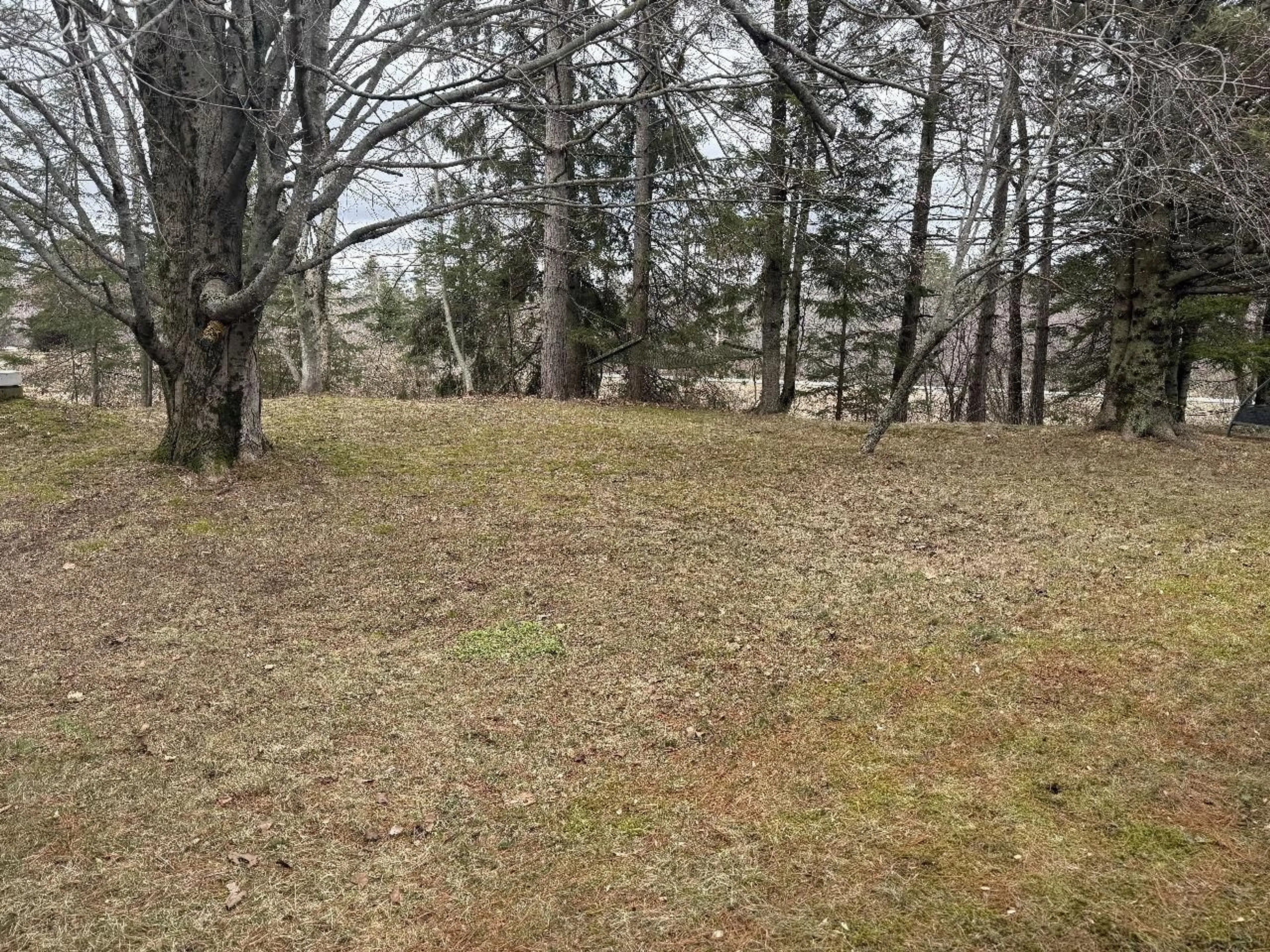 A pic from outside/outdoor area/front of a property/back of a property/a pic from drone, forest/trees view for 1801 224 Hwy, Shubenacadie Nova Scotia B0N 2H0