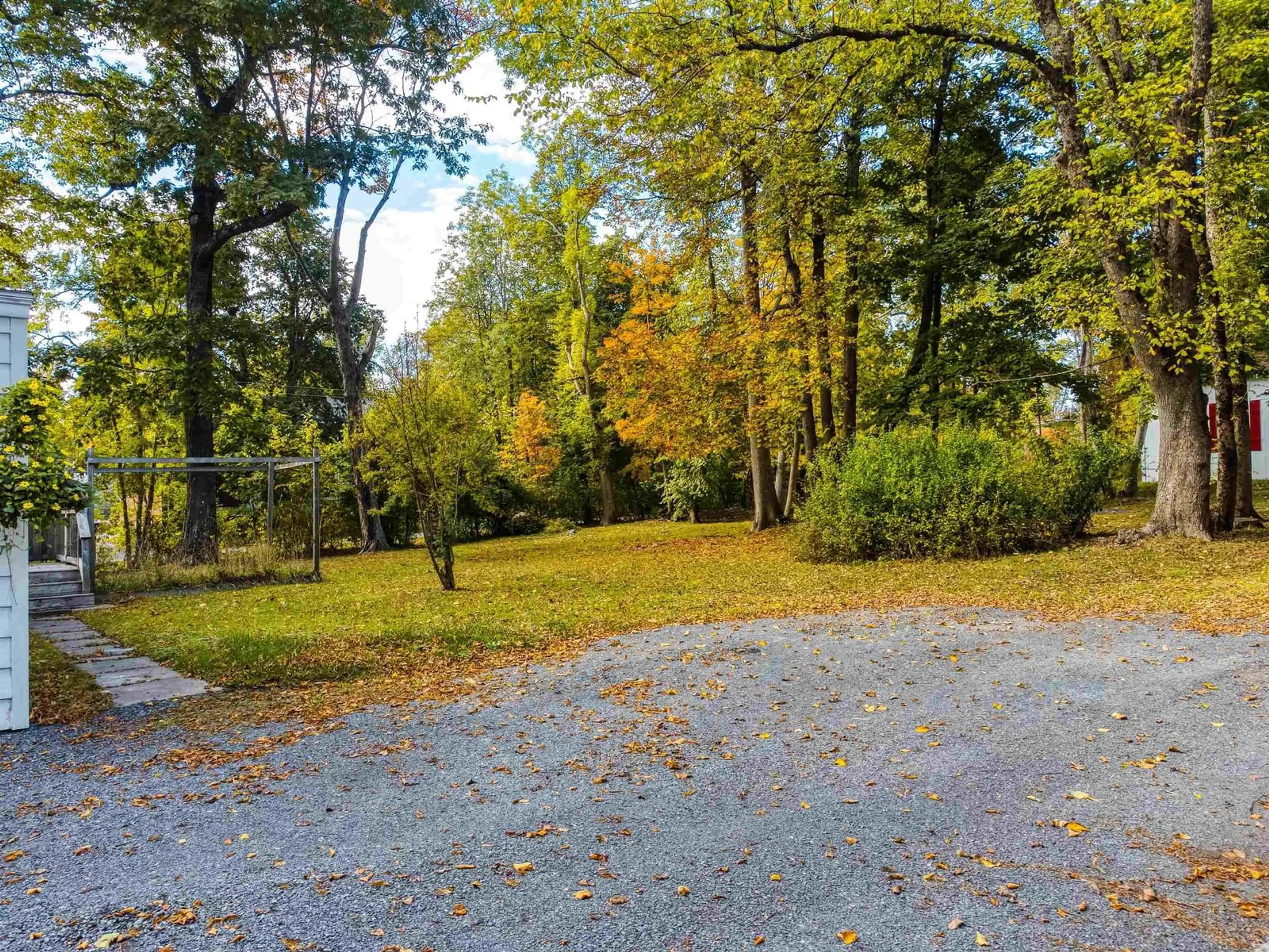 A pic from outside/outdoor area/front of a property/back of a property/a pic from drone, forest/trees view for 68 Cottage St, Pictou Nova Scotia B0K 1H0