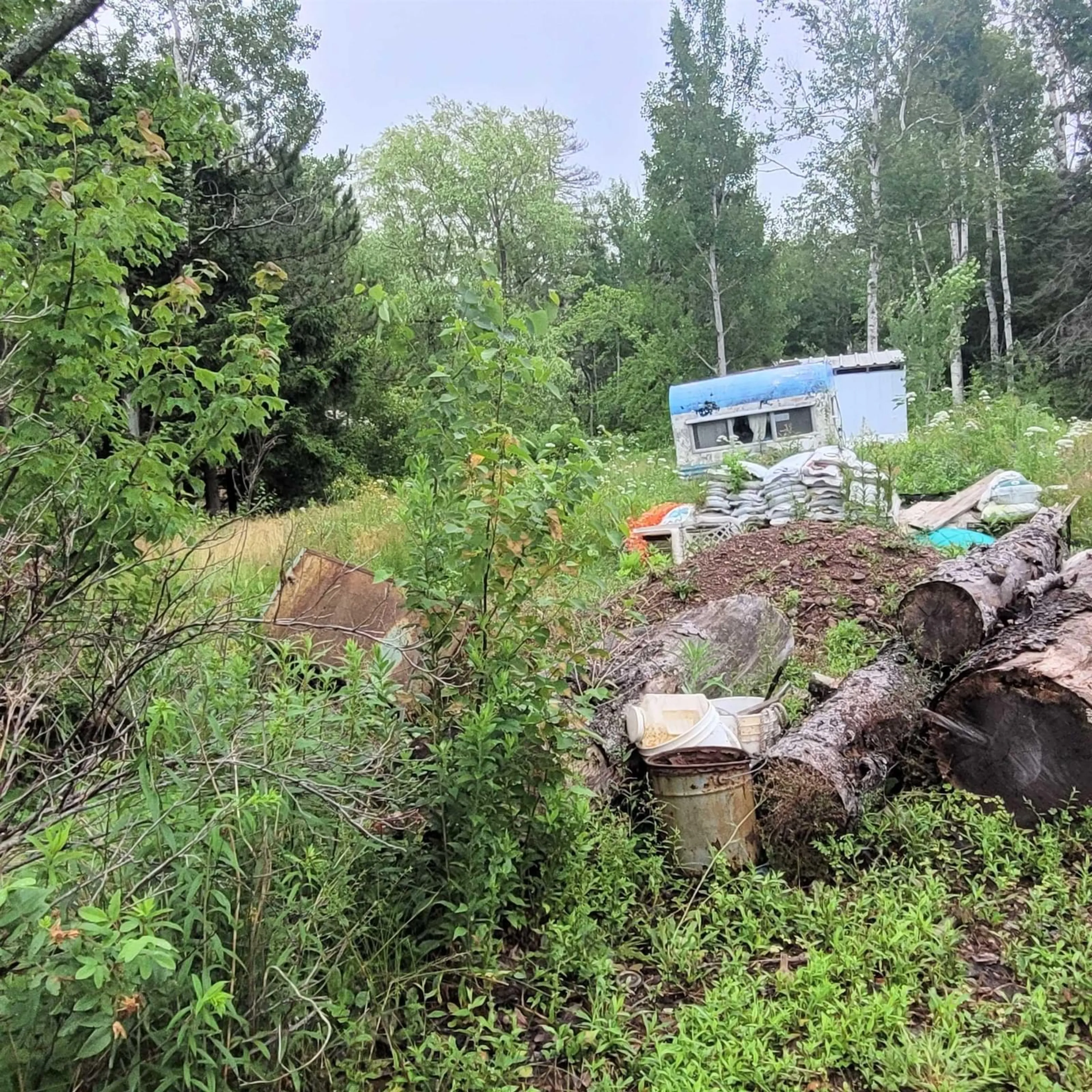 Shed for 37 Buddies Way, Tidnish Bridge Nova Scotia B4H 3E1