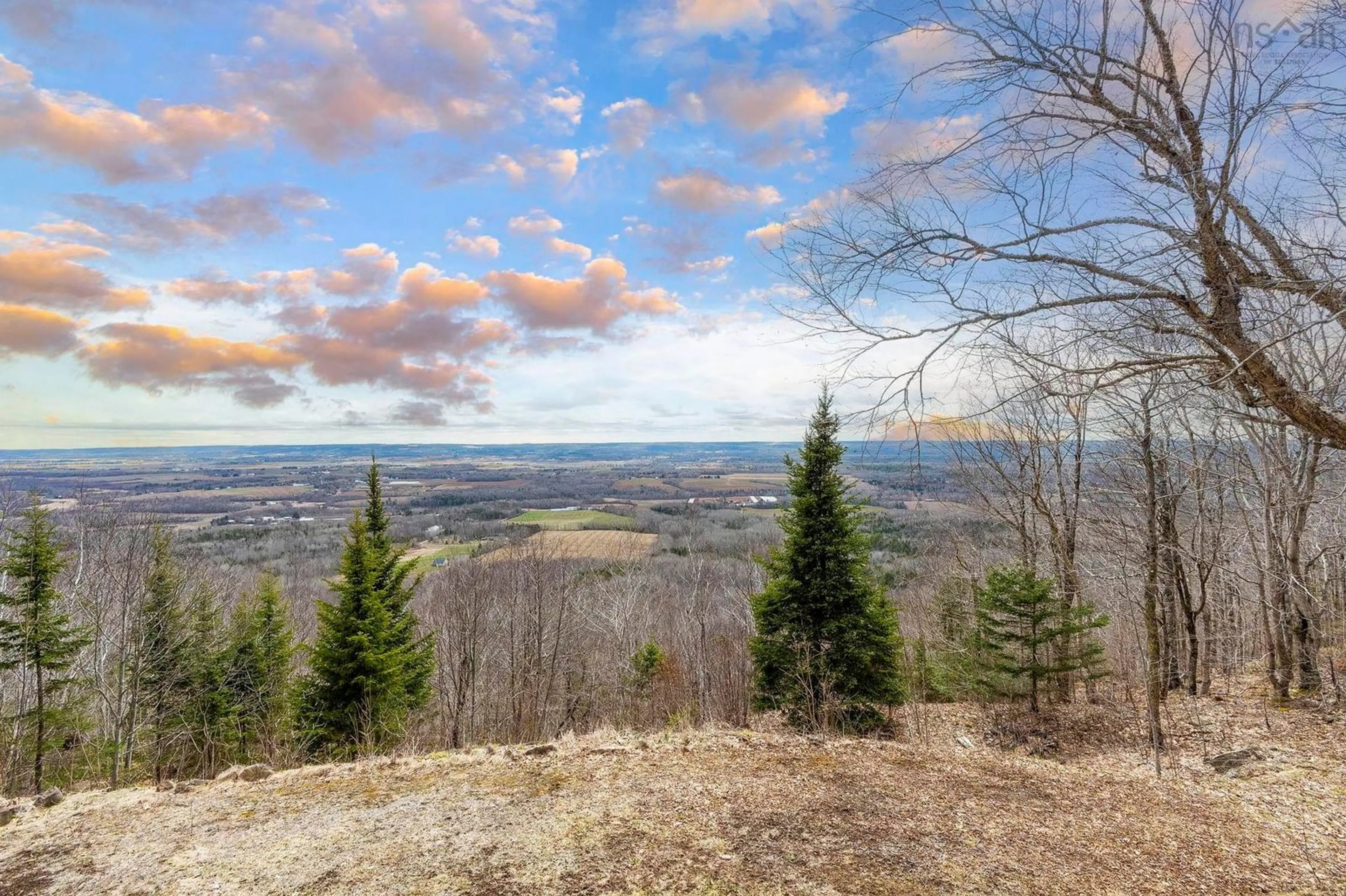 A pic from outside/outdoor area/front of a property/back of a property/a pic from drone, forest/trees view for 1460 Brow Of Mountain Rd, Brow Of The Mountain Nova Scotia B0P 1J0
