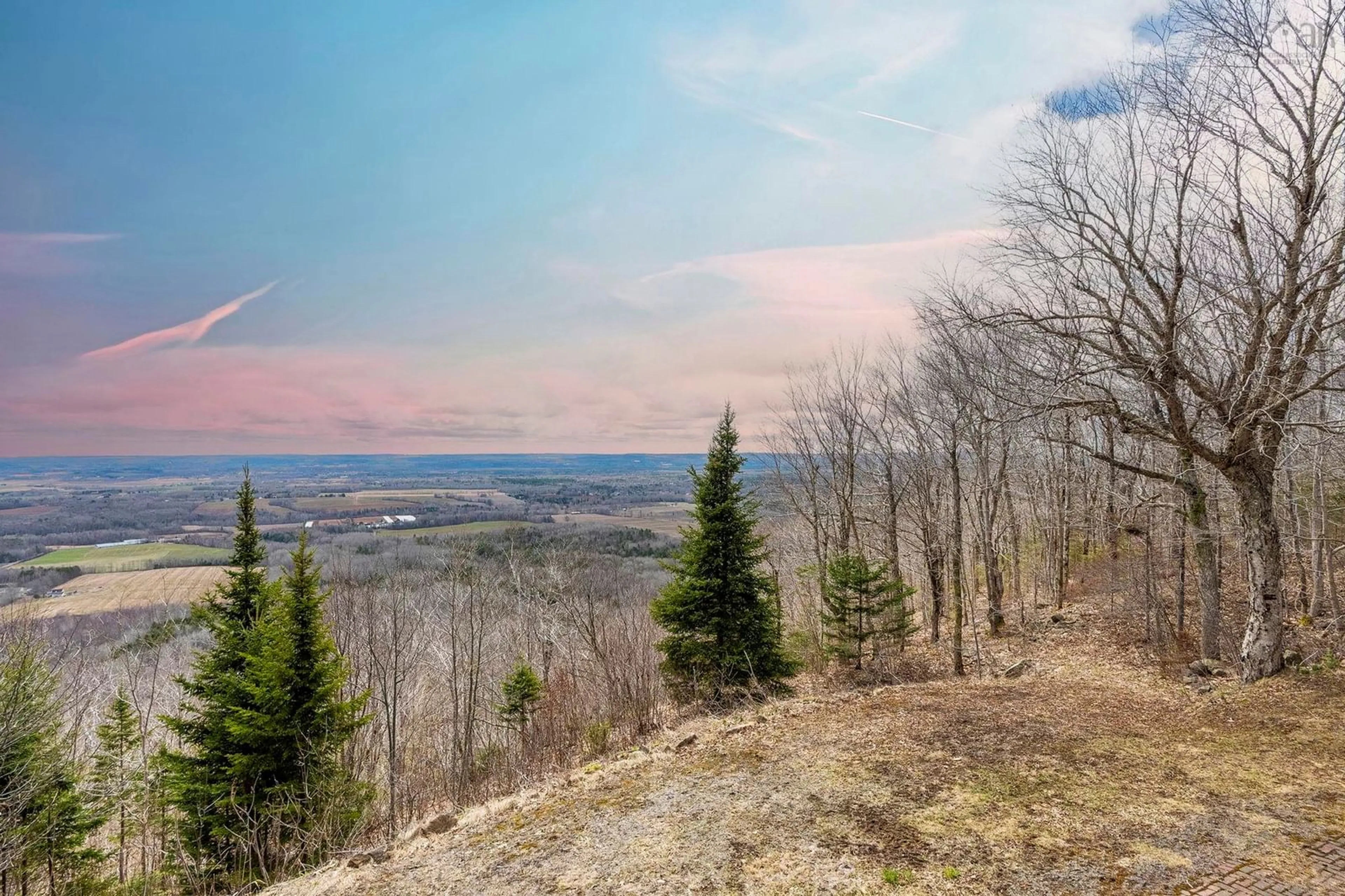 A pic from outside/outdoor area/front of a property/back of a property/a pic from drone, forest/trees view for 1460 Brow Of Mountain Rd, Brow Of The Mountain Nova Scotia B0P 1J0