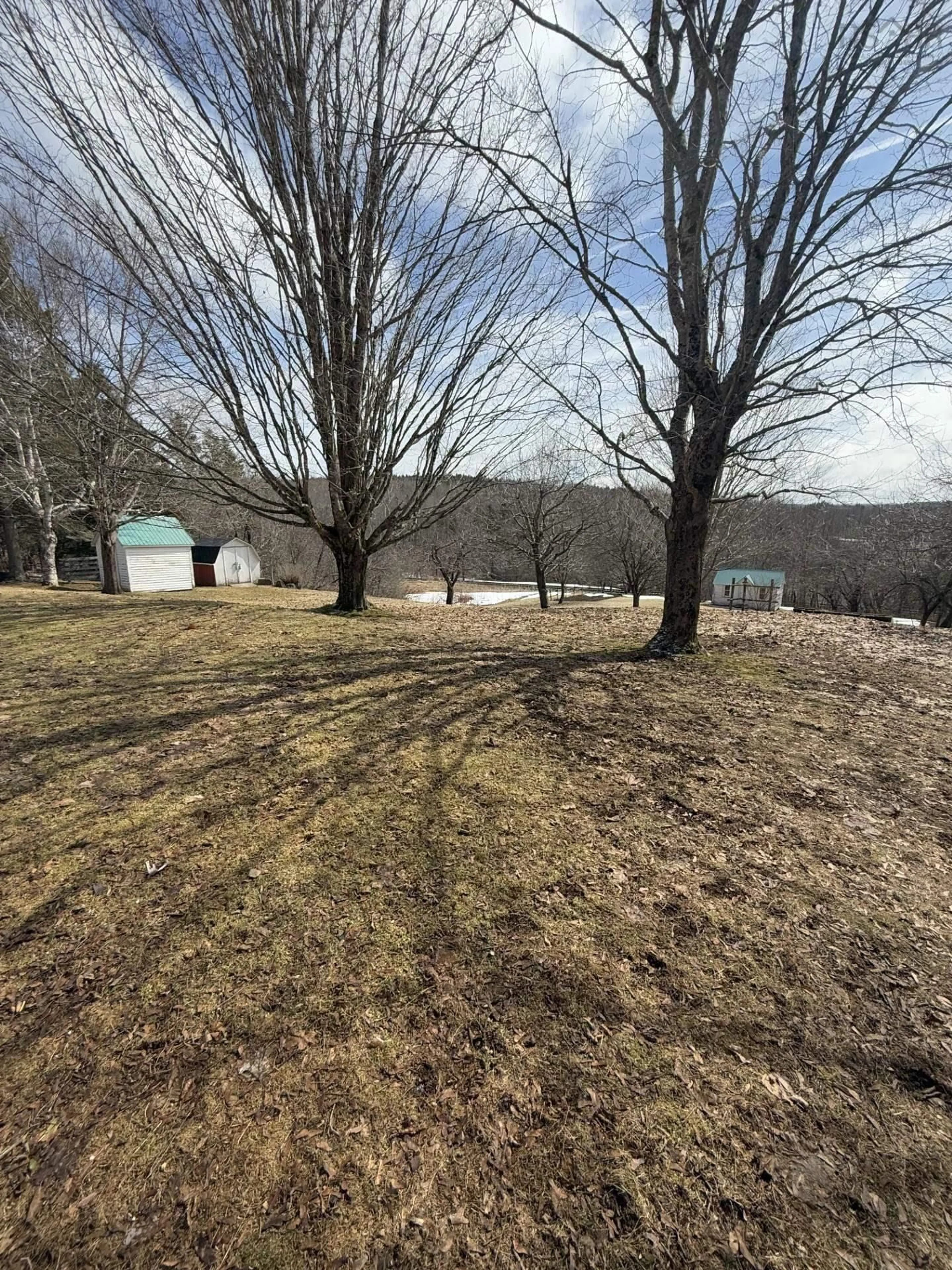 A pic from outside/outdoor area/front of a property/back of a property/a pic from drone, forest/trees view for Brierly Brook Rd #788, Brierly Brook Nova Scotia B2G 2K9