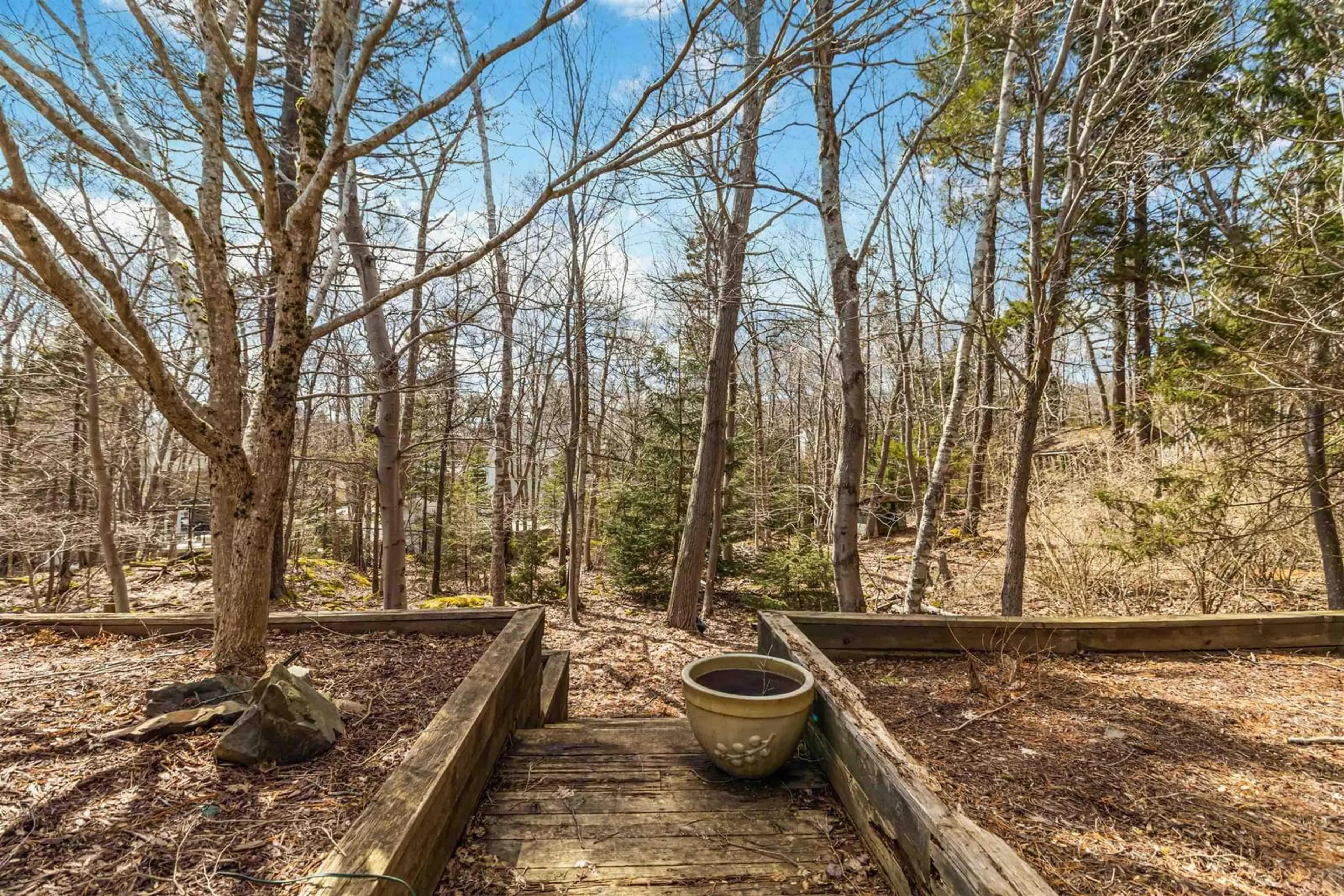 Patio, forest/trees view for 40 Wedgewood Ave, Halifax Nova Scotia B3M 2B5