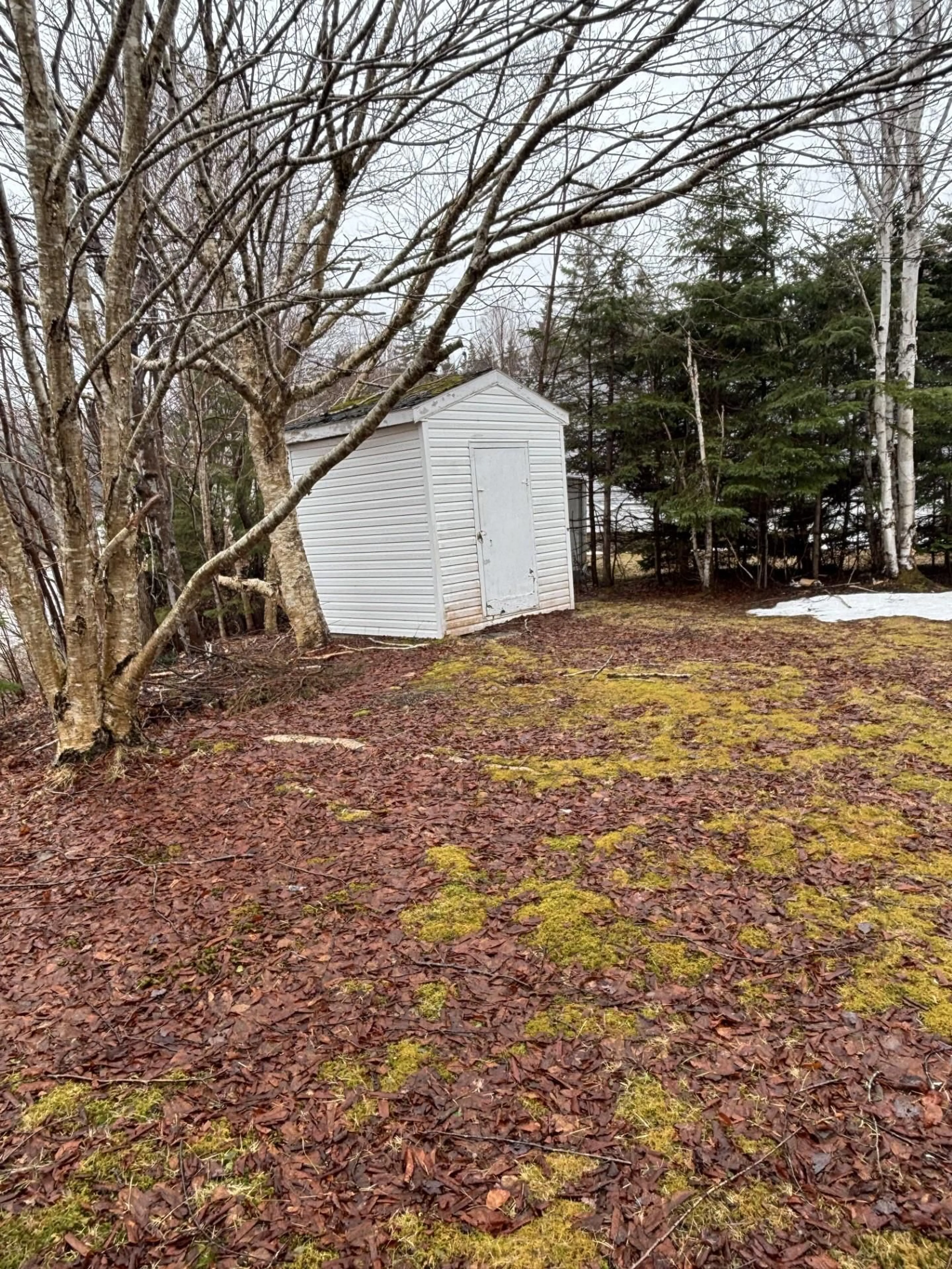 Shed for 949 Old Route 5 Rd, Millville Nova Scotia B1X 1Y6