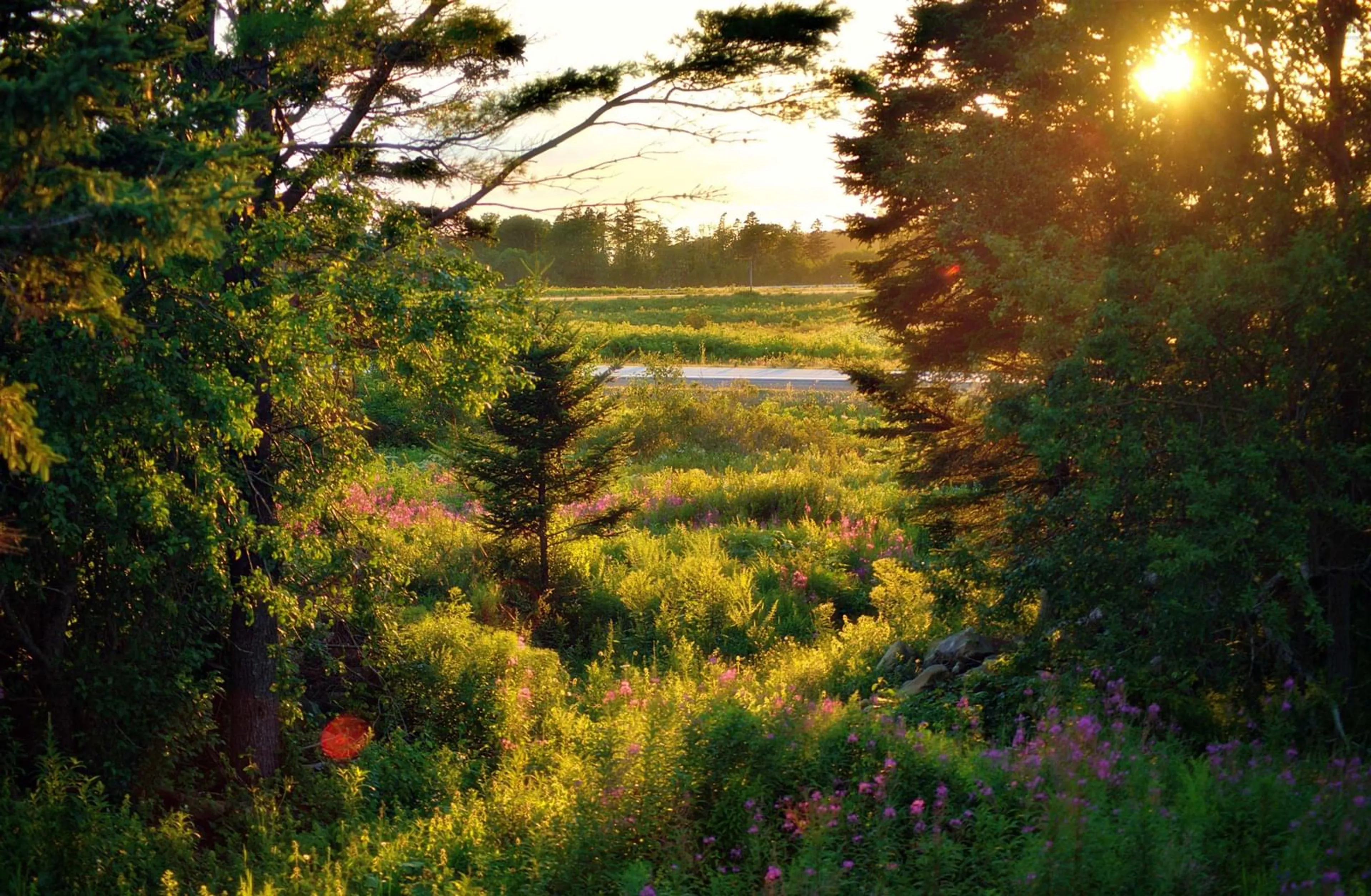 Blurry image for 62 Lake Doucette Rd, Lake Doucette Nova Scotia B0W 2Y0