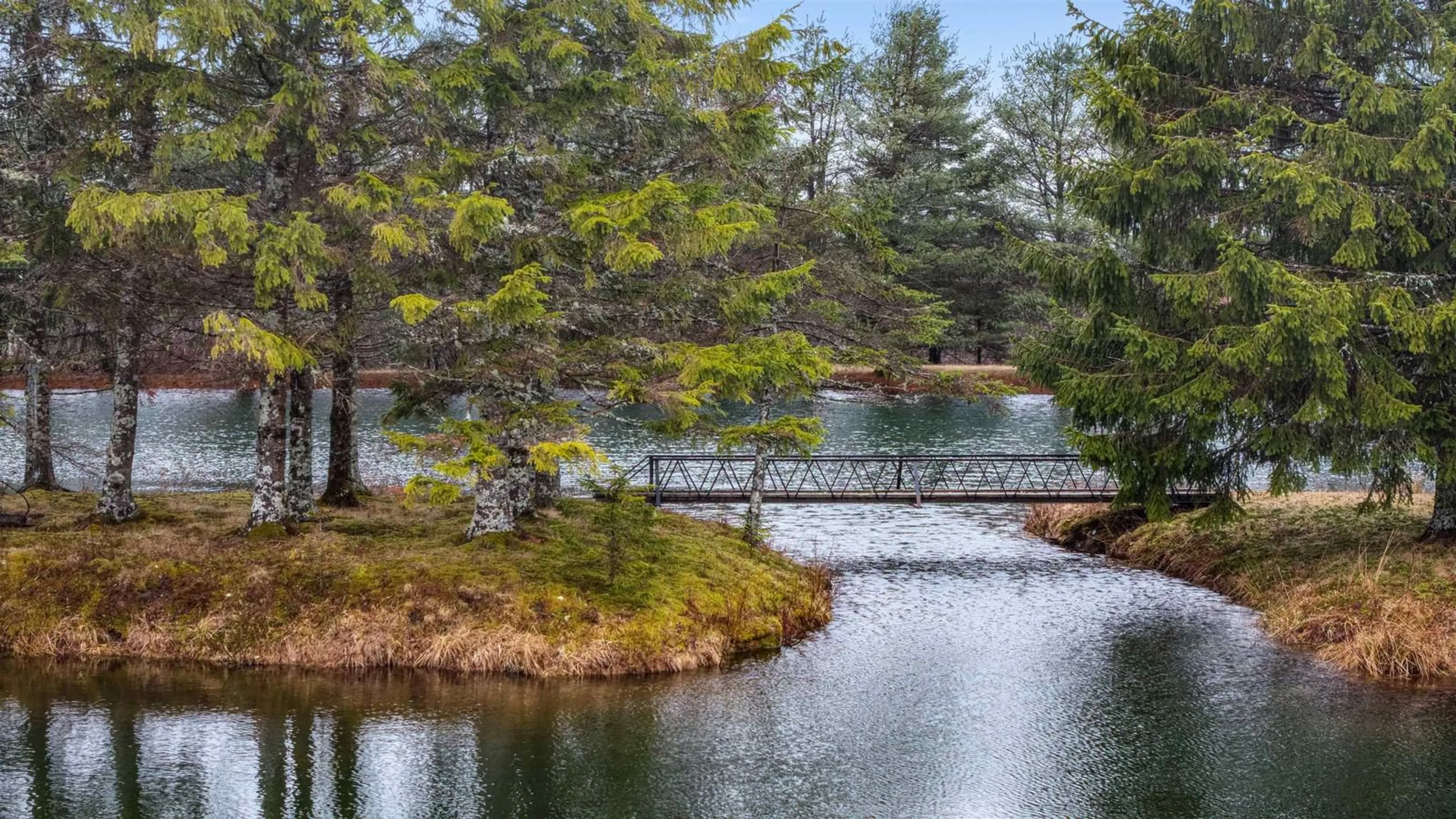 Pool for 1311 Glenmore Rd, Glenmore Nova Scotia B0N 1X0