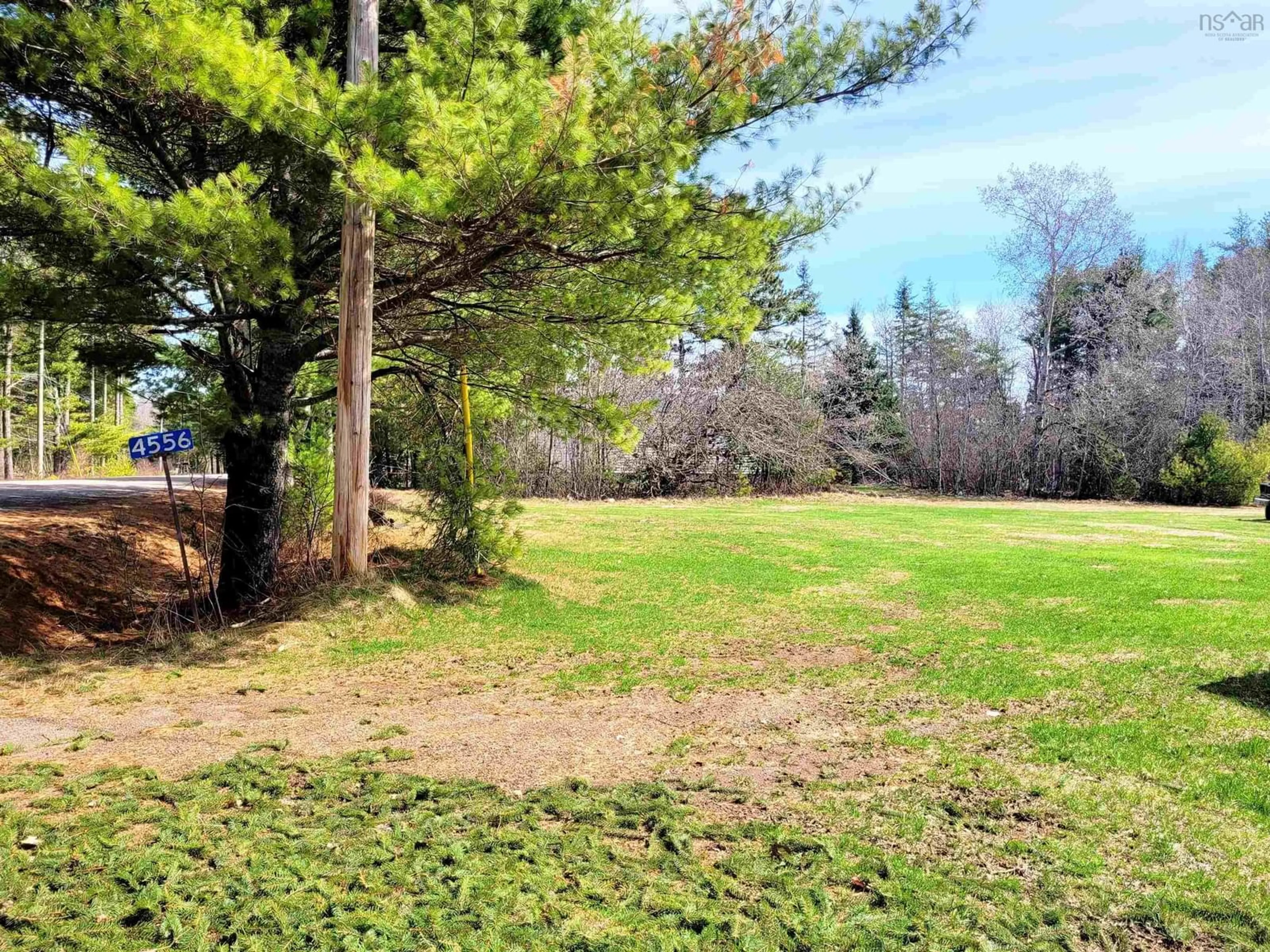 A pic from outside/outdoor area/front of a property/back of a property/a pic from drone, forest/trees view for 4556 Canaan Rd, Southampton Nova Scotia B0M 1W0