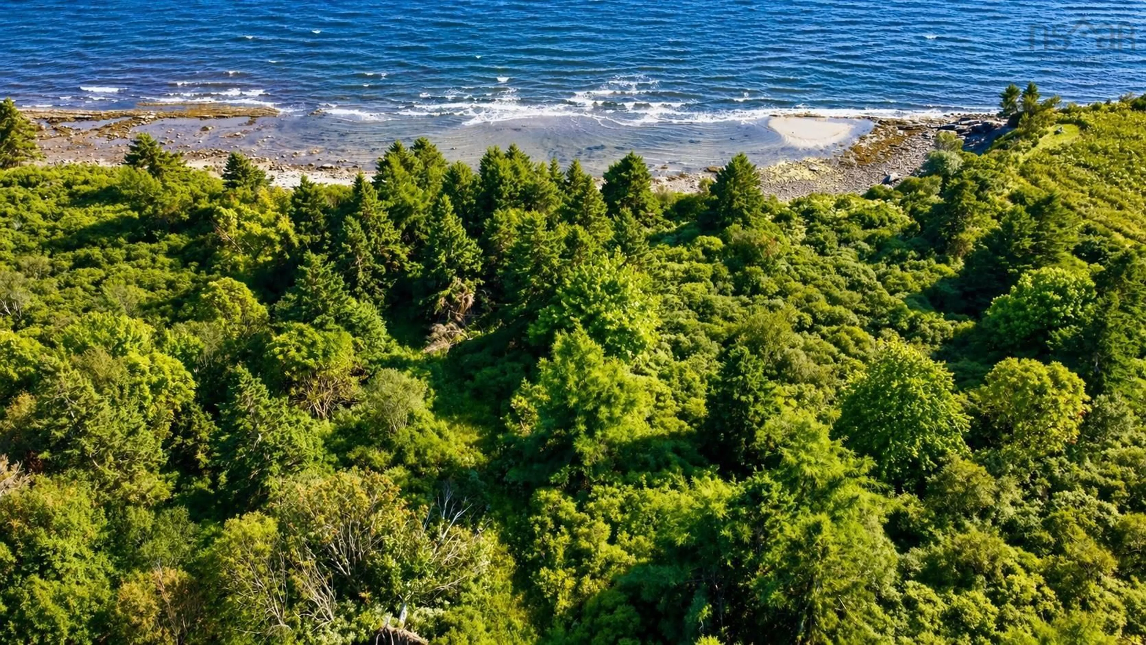 A pic from outside/outdoor area/front of a property/back of a property/a pic from drone, forest/trees view for 510 Pictou Island Rd, Pictou Island Nova Scotia B0K 1J0