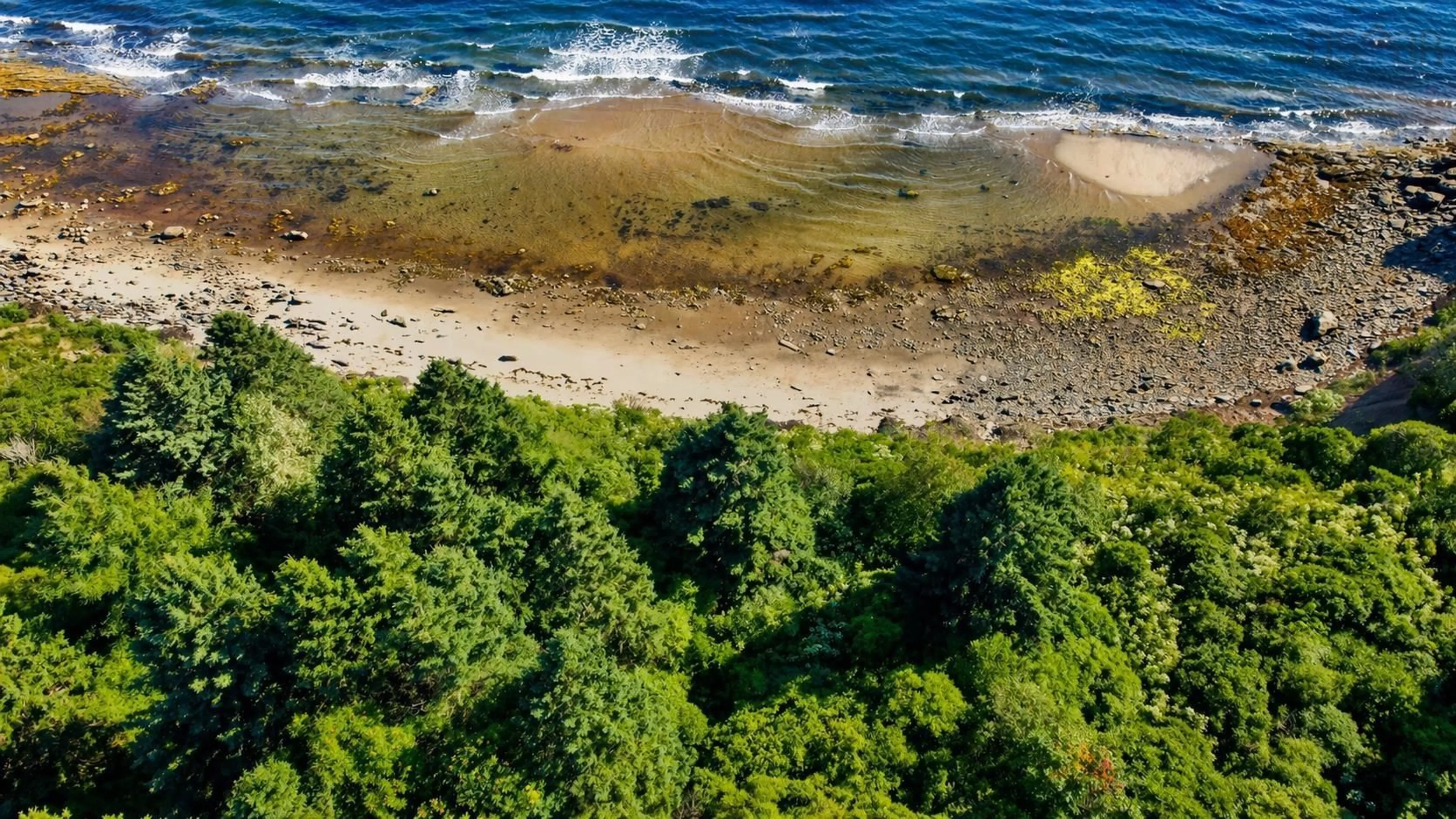 A pic from outside/outdoor area/front of a property/back of a property/a pic from drone, water/lake/river/ocean view for 510 Pictou Island Rd, Pictou Island Nova Scotia B0K 1J0