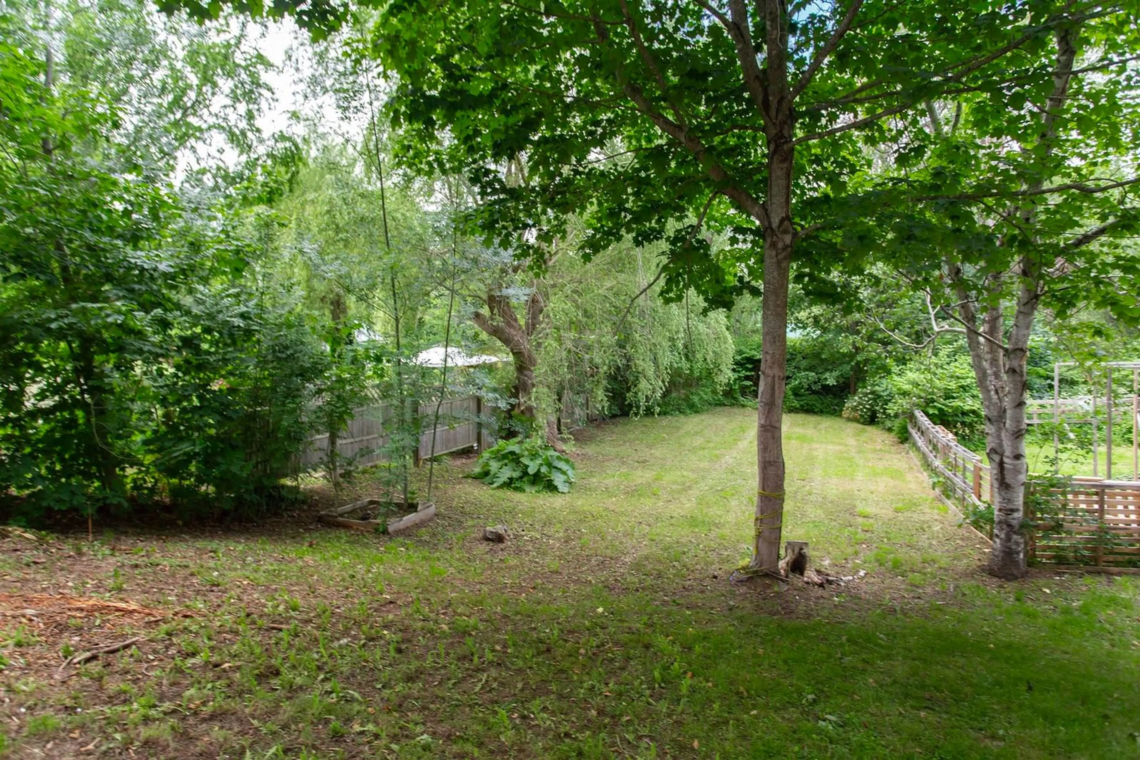 A pic from outside/outdoor area/front of a property/back of a property/a pic from drone, forest/trees view for 3 Court Street, Bridgetown Nova Scotia B0S 1C0