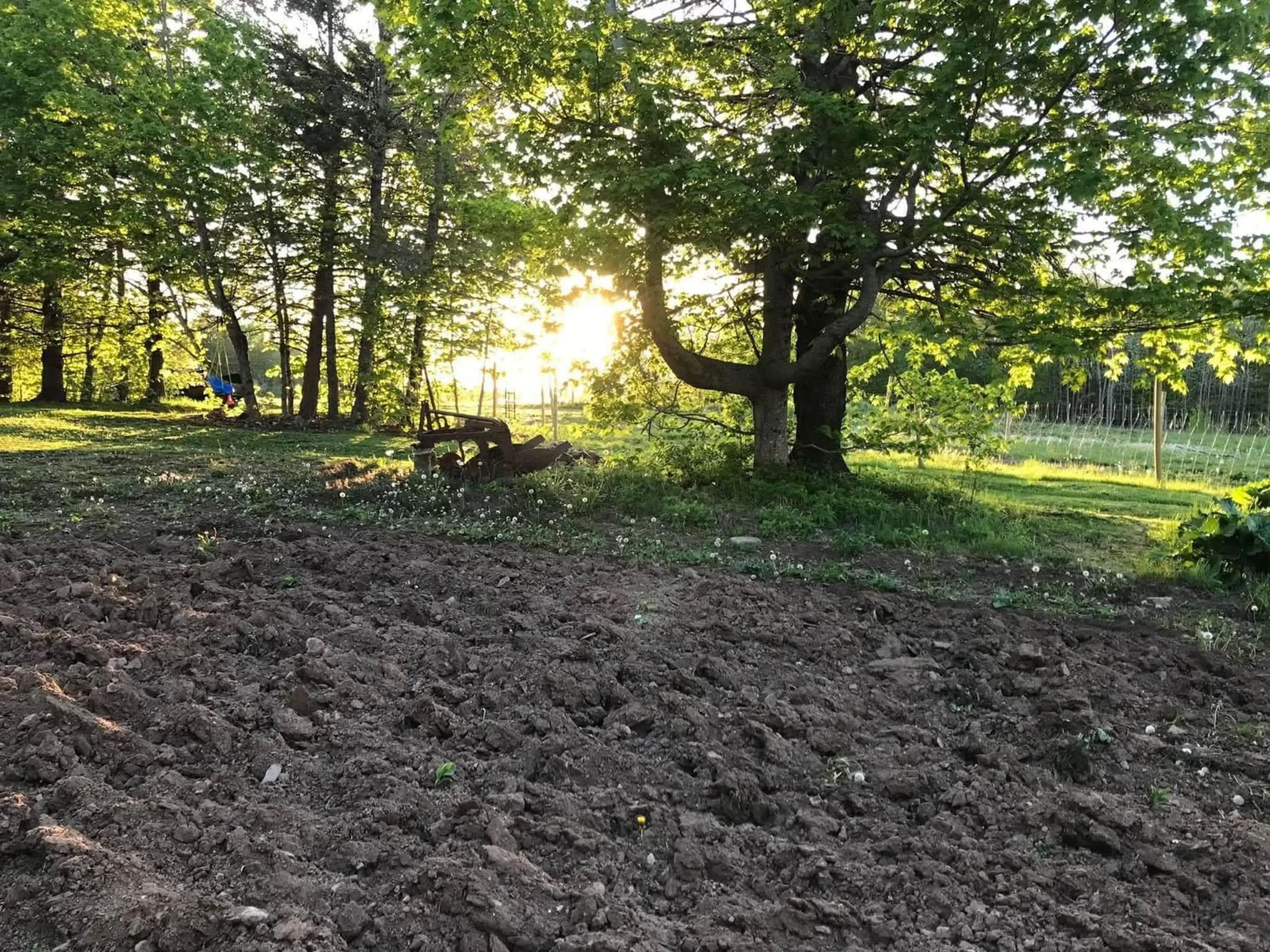 A pic from outside/outdoor area/front of a property/back of a property/a pic from drone, forest/trees view for 1278 Crisp Rd, Inglisville Nova Scotia B0S 1M0