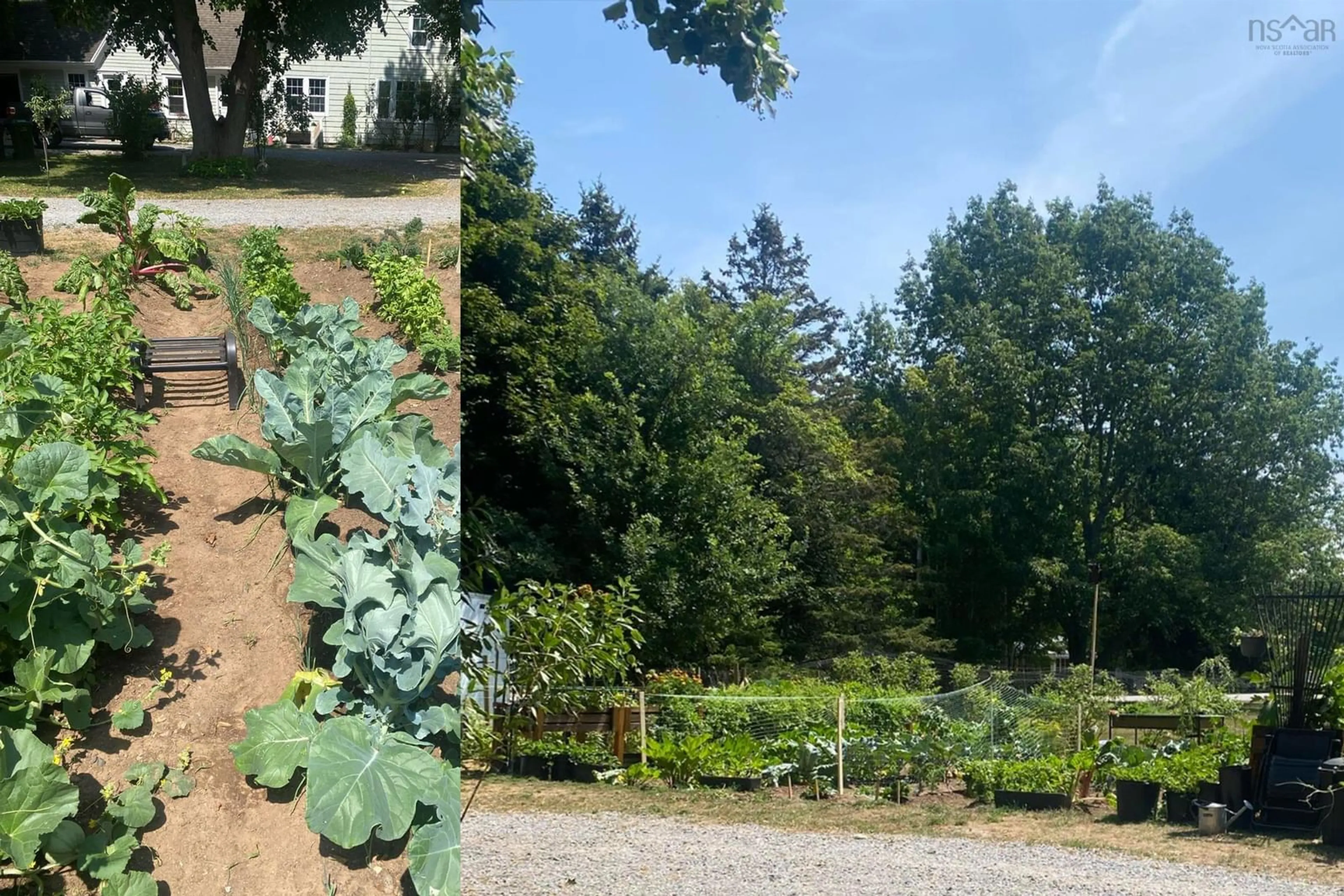 A pic from outside/outdoor area/front of a property/back of a property/a pic from drone, forest/trees view for 9717 Highway 10, Nictaux Nova Scotia B0S 1P0