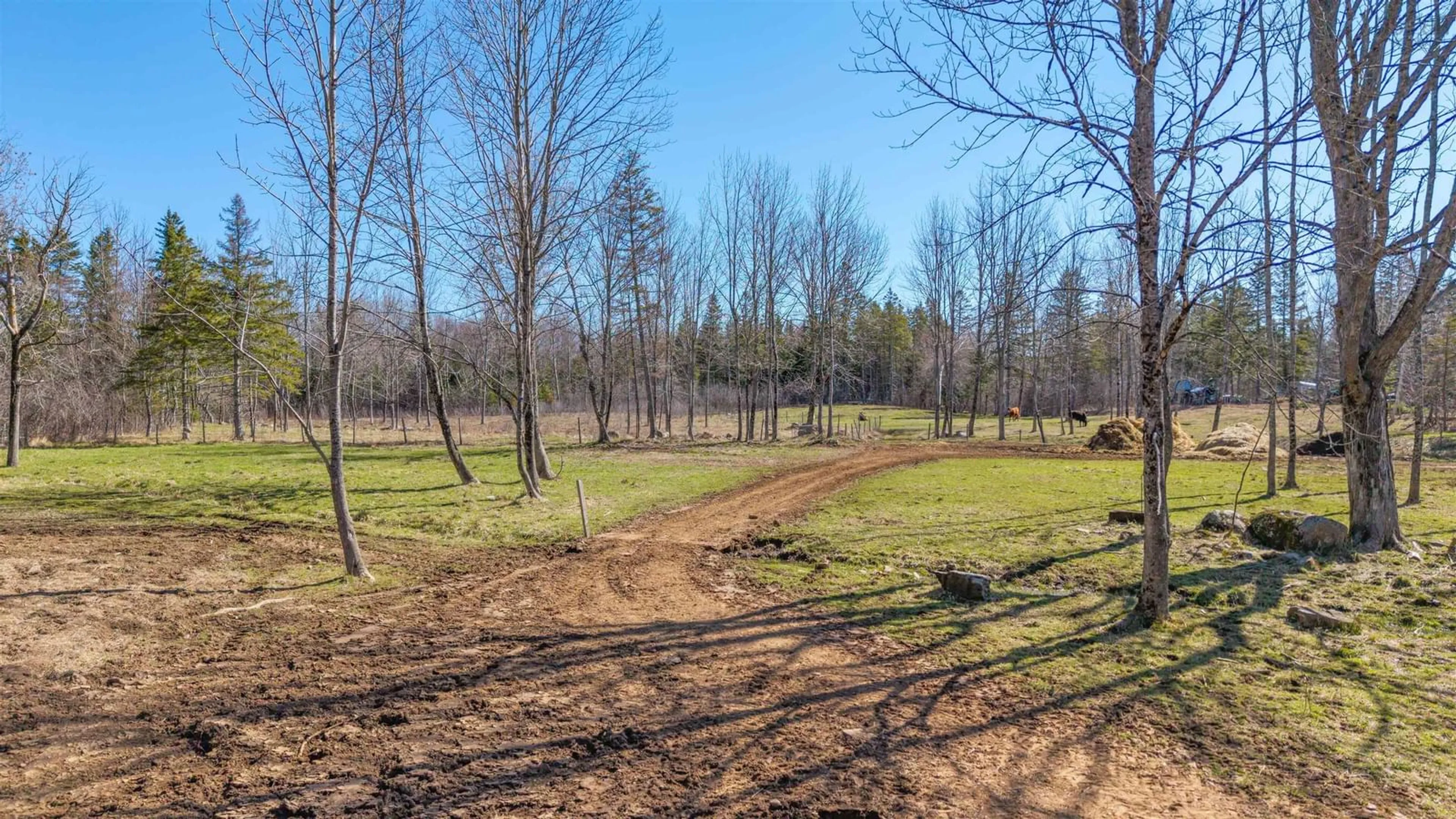 A pic from outside/outdoor area/front of a property/back of a property/a pic from drone, forest/trees view for 1106 Tetzlaff Rd, Kentville Nova Scotia B4N 4K1
