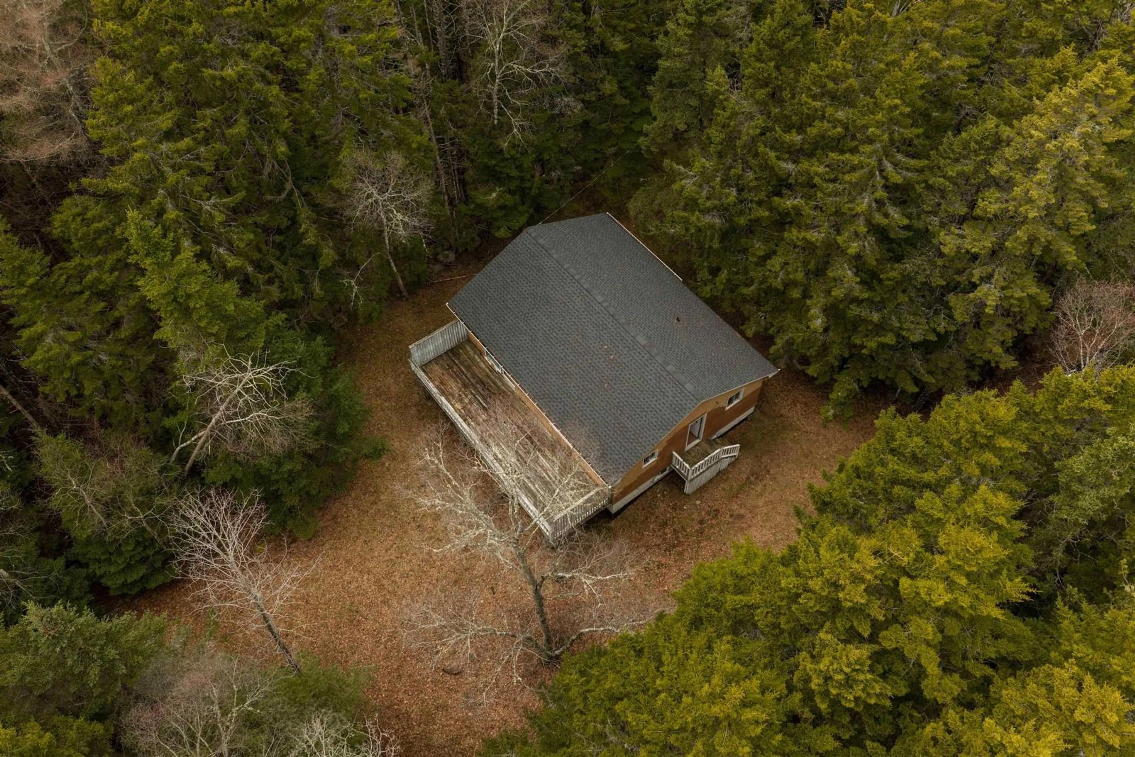 A pic from outside/outdoor area/front of a property/back of a property/a pic from drone, forest/trees view for 2895 Highway 3, East Chester Nova Scotia B0J 1J0