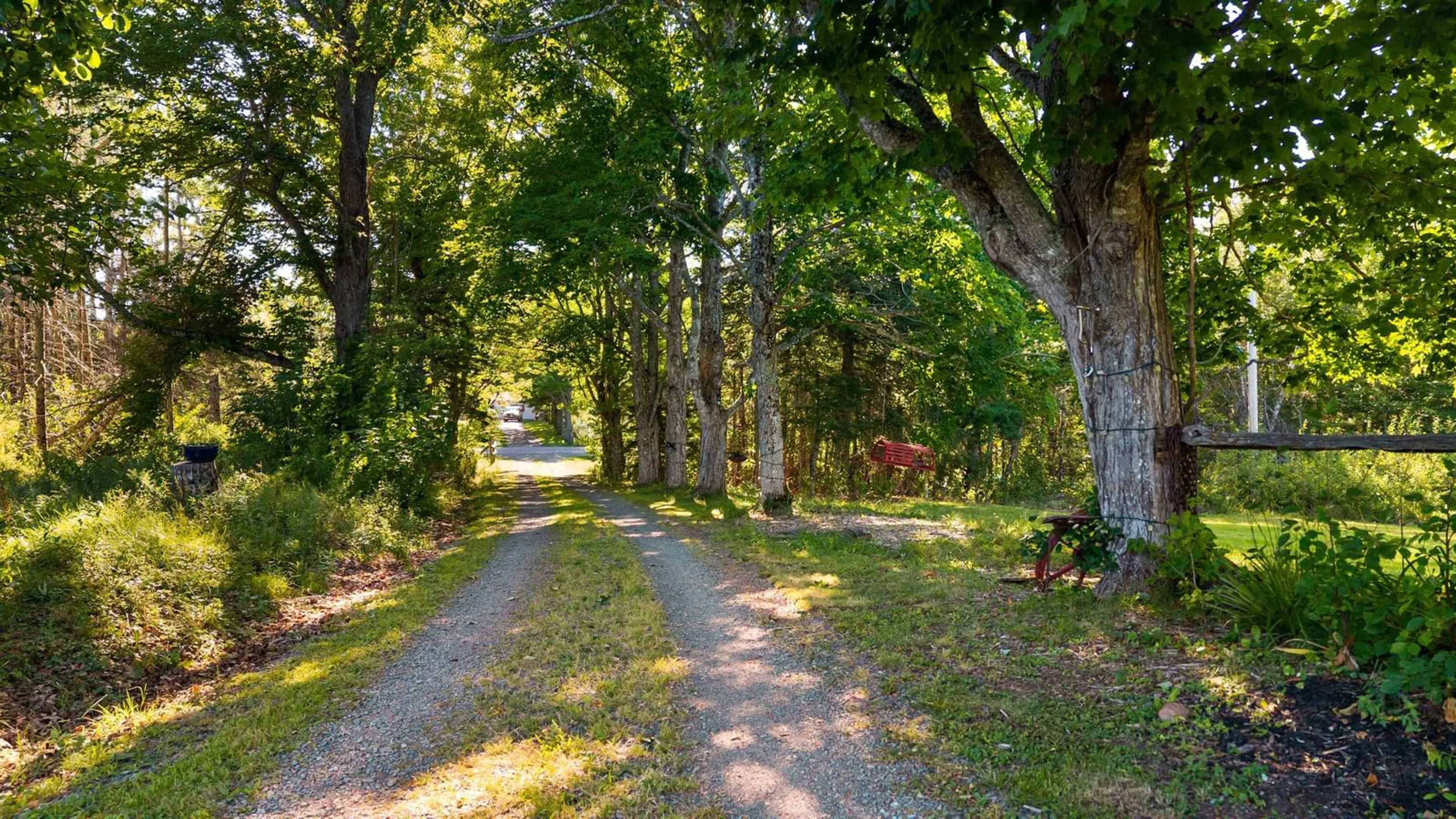 A pic from outside/outdoor area/front of a property/back of a property/a pic from drone, forest/trees view for 3072 326 Hwy, Denmark Nova Scotia B0K 1V0
