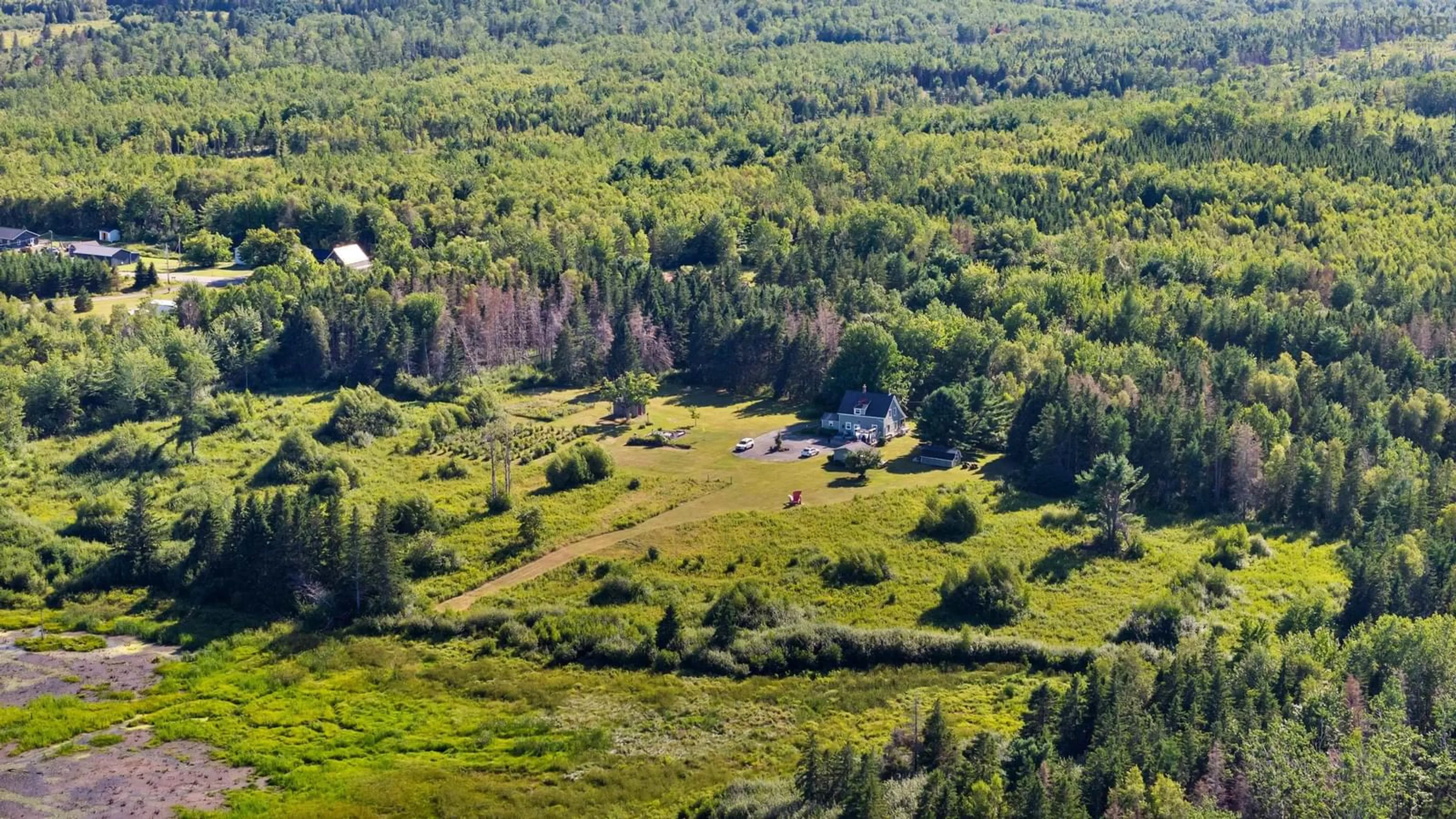 A pic from outside/outdoor area/front of a property/back of a property/a pic from drone, forest/trees view for 3072 326 Hwy, Denmark Nova Scotia B0K 1V0