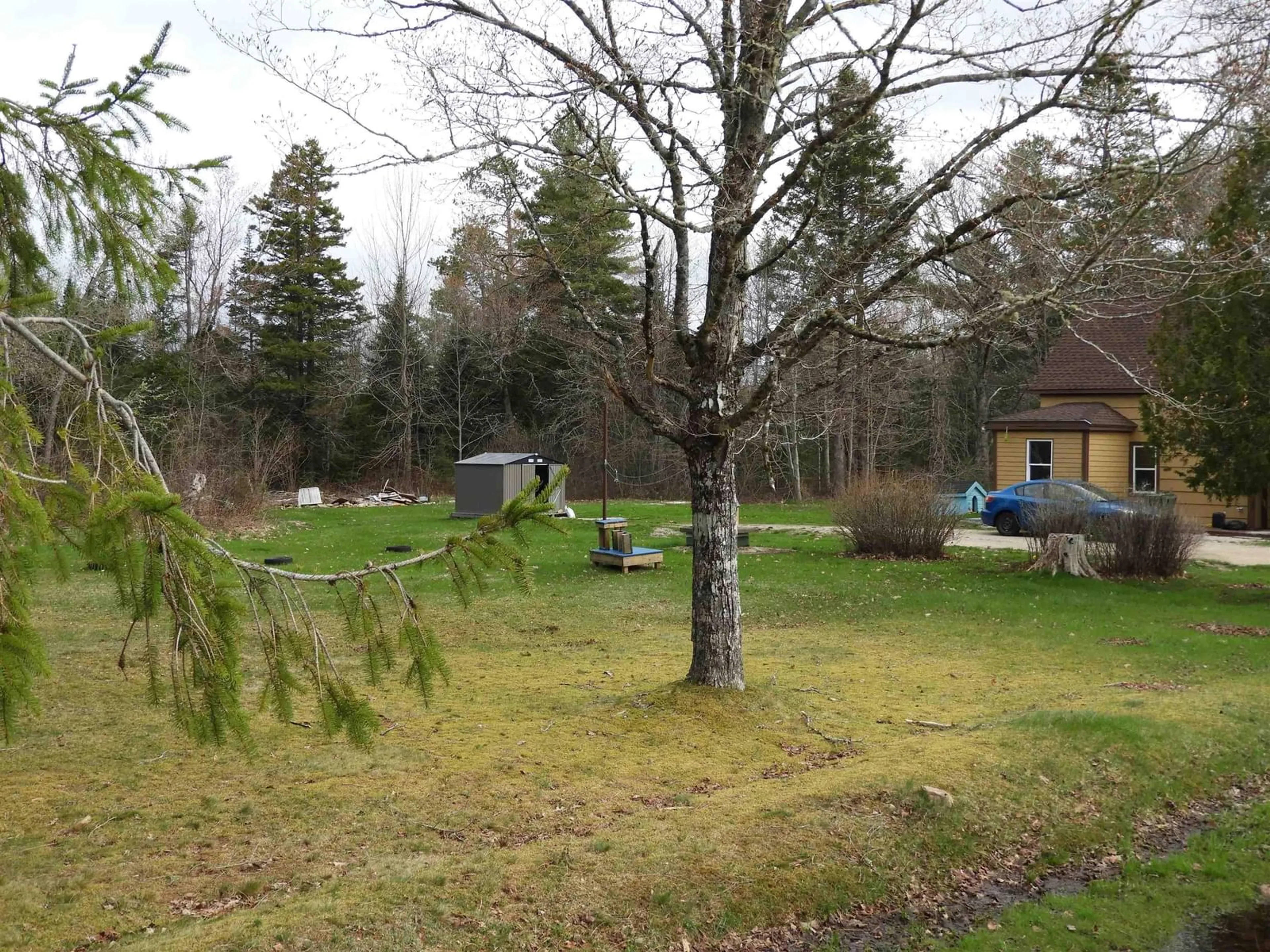 A pic from outside/outdoor area/front of a property/back of a property/a pic from drone, forest/trees view for 767 Mill Rd, Mill Road Nova Scotia B0J 2M0