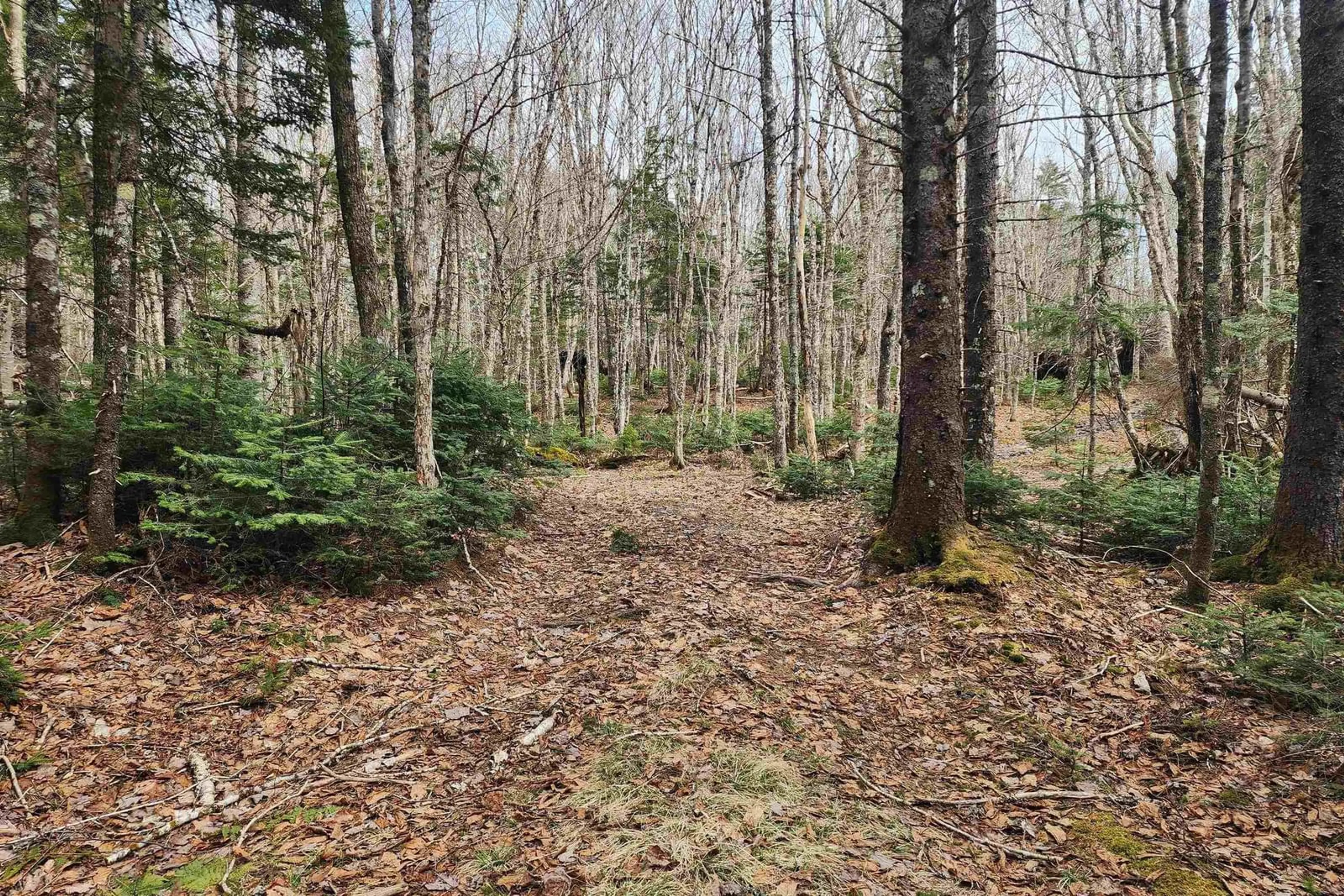 Unknown for 1009 Trout Lake Rd, Hart Lake Nova Scotia B0M 1W0