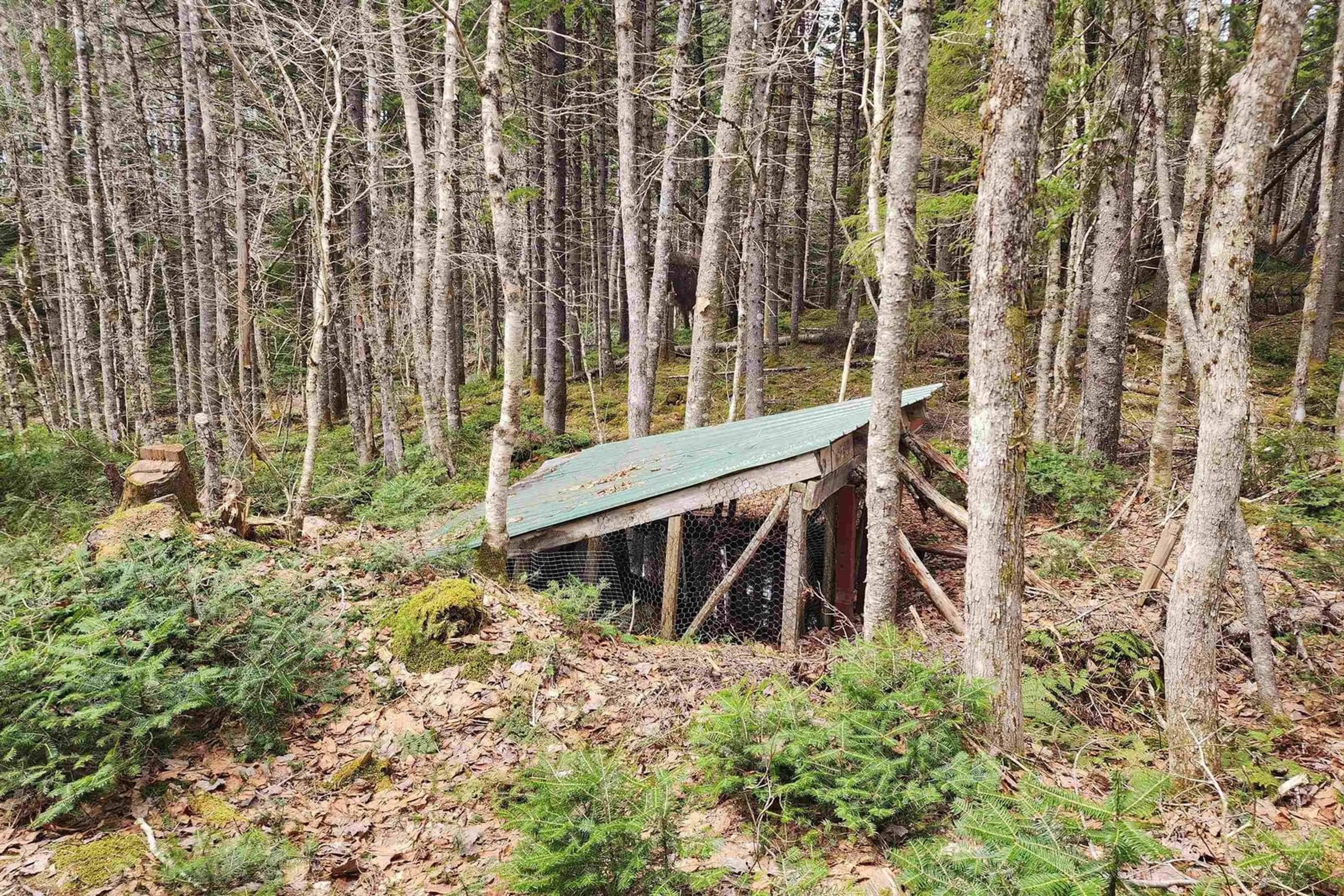 Shed for 1009 Trout Lake Rd, Hart Lake Nova Scotia B0M 1W0