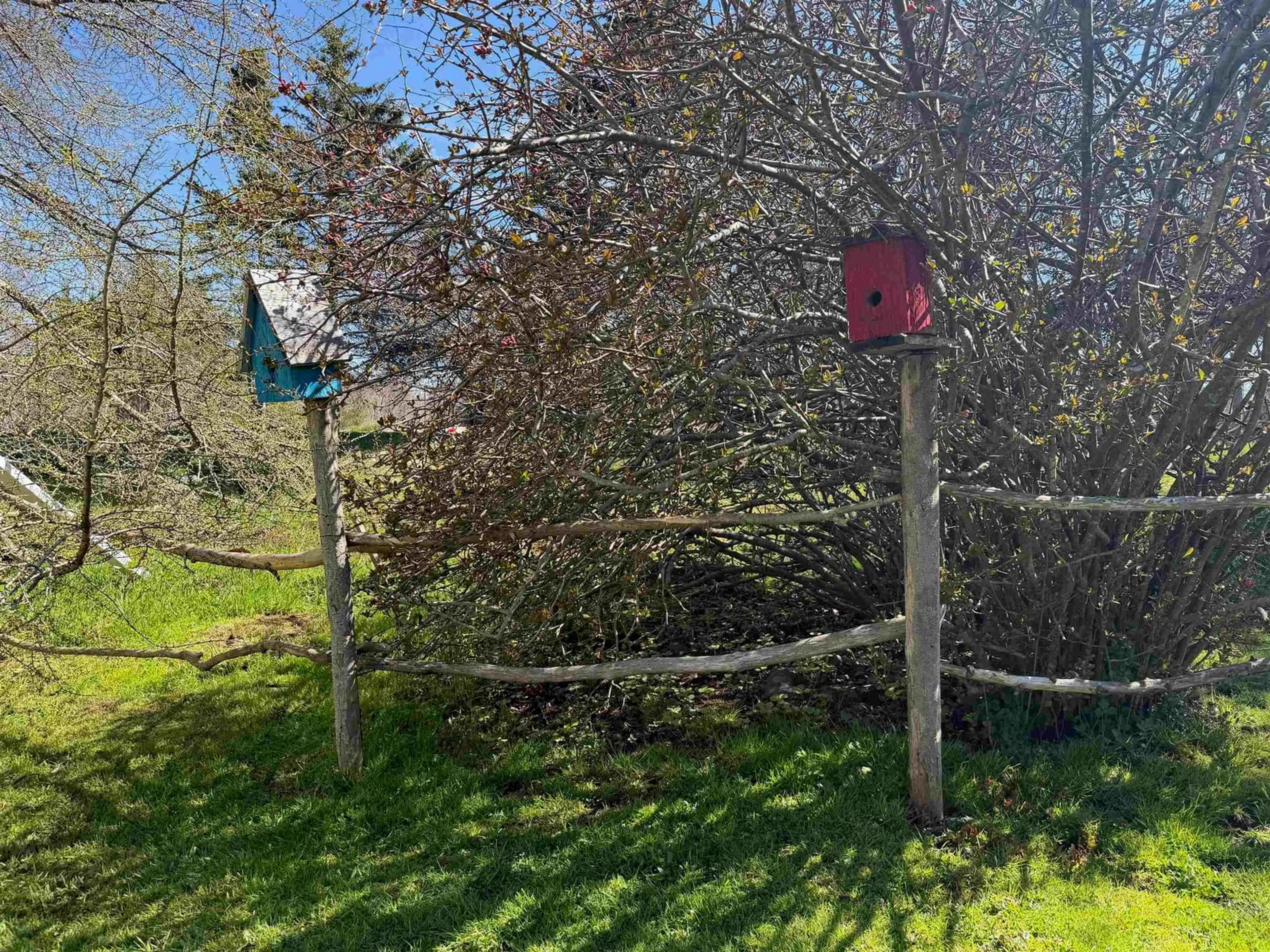 A pic from outside/outdoor area/front of a property/back of a property/a pic from drone, forest/trees view for 42 Main Shore Rd, Milton Highlands Nova Scotia B5A 4K2