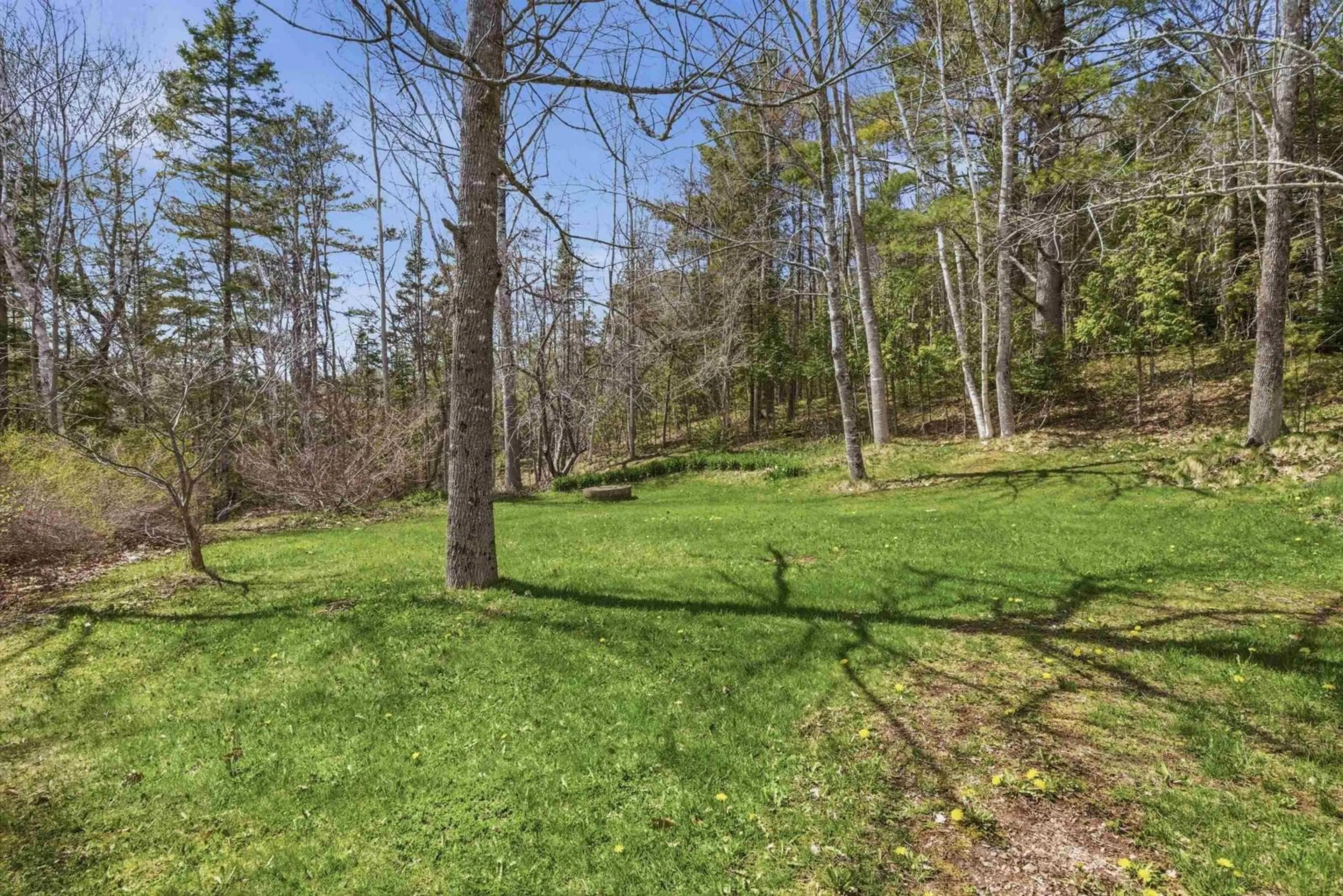 Patio, forest/trees view for 44 Lakewood Drive Extension, Brooklyn Nova Scotia B0N 2A0