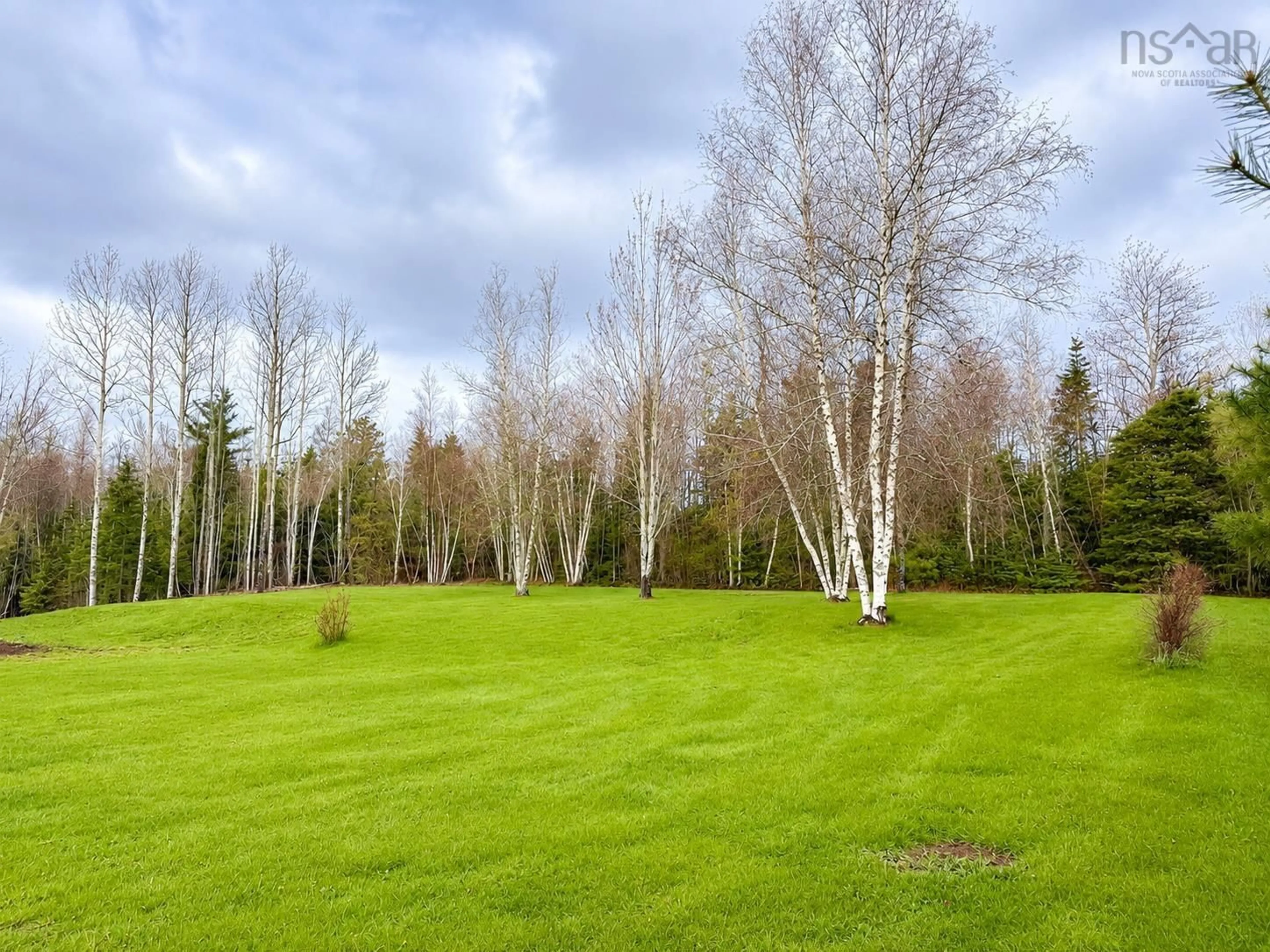 A pic from outside/outdoor area/front of a property/back of a property/a pic from drone, forest/trees view for 239 Upper River John Rd, Waughs River Nova Scotia B0K 1V0