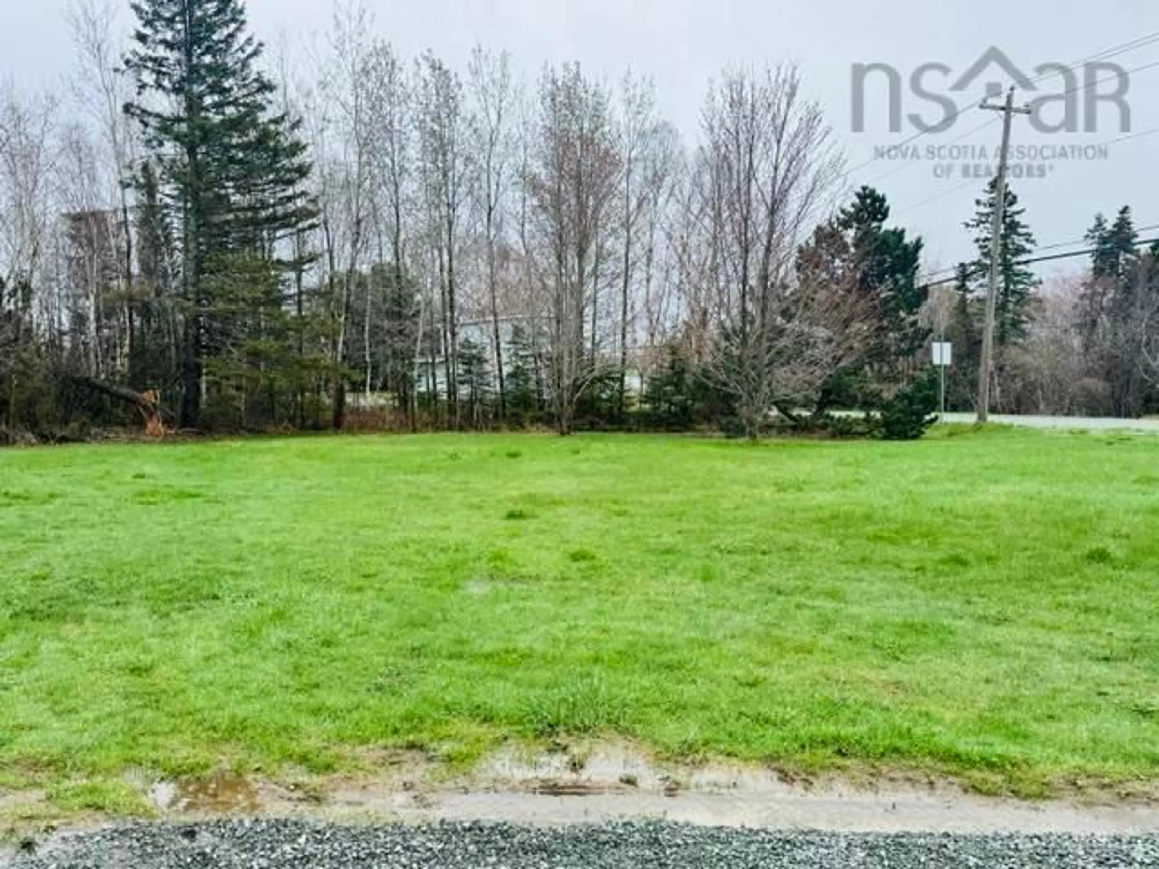 A pic from outside/outdoor area/front of a property/back of a property/a pic from drone, forest/trees view for 446 Alder Point Rd, Alder Point Nova Scotia B1Y 1A1