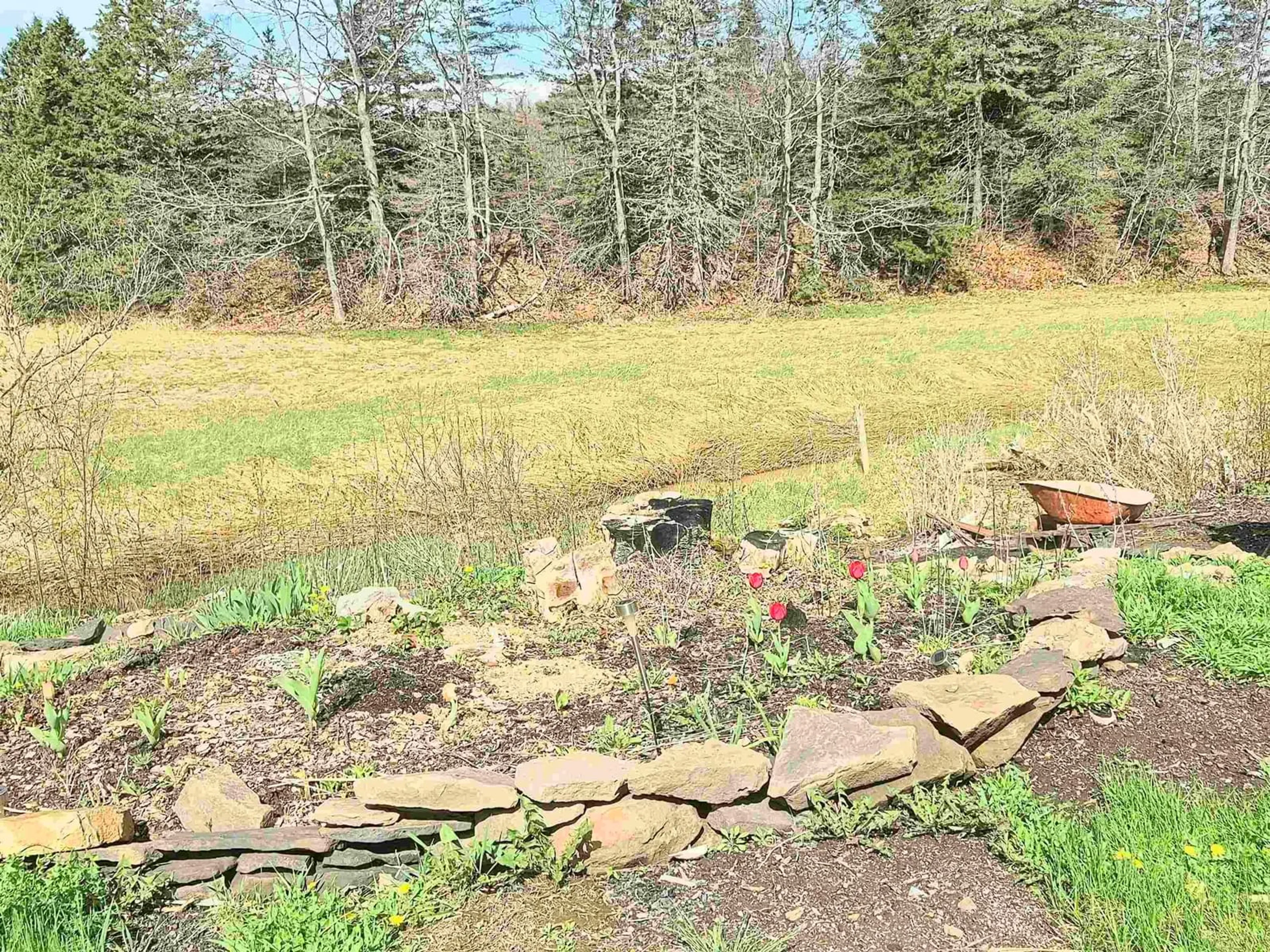 A pic from outside/outdoor area/front of a property/back of a property/a pic from drone, forest/trees view for 2591 Barronsfield Rd, River Hebert Nova Scotia B0L 1G0