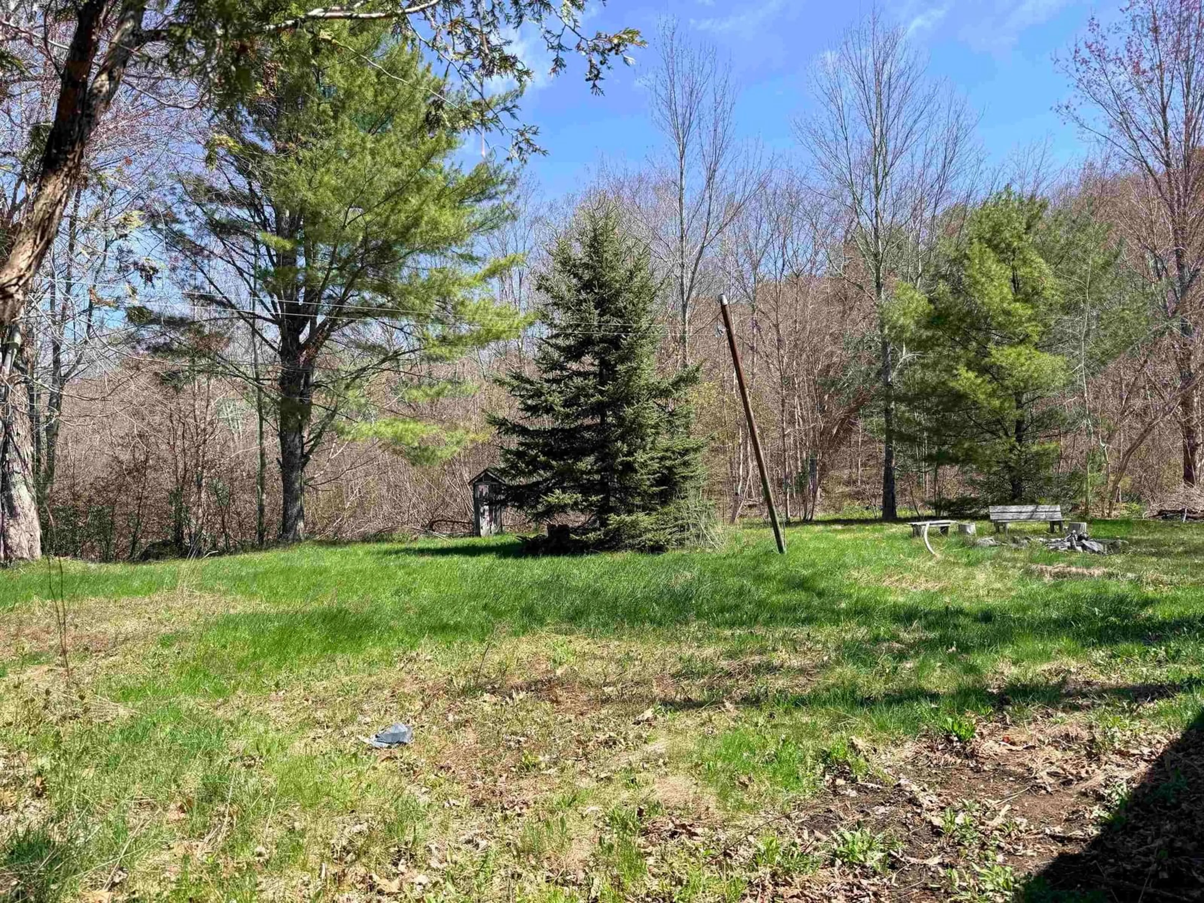 A pic from outside/outdoor area/front of a property/back of a property/a pic from drone, forest/trees view for 5350 Highway 10, New Germany Nova Scotia B0R 1E0