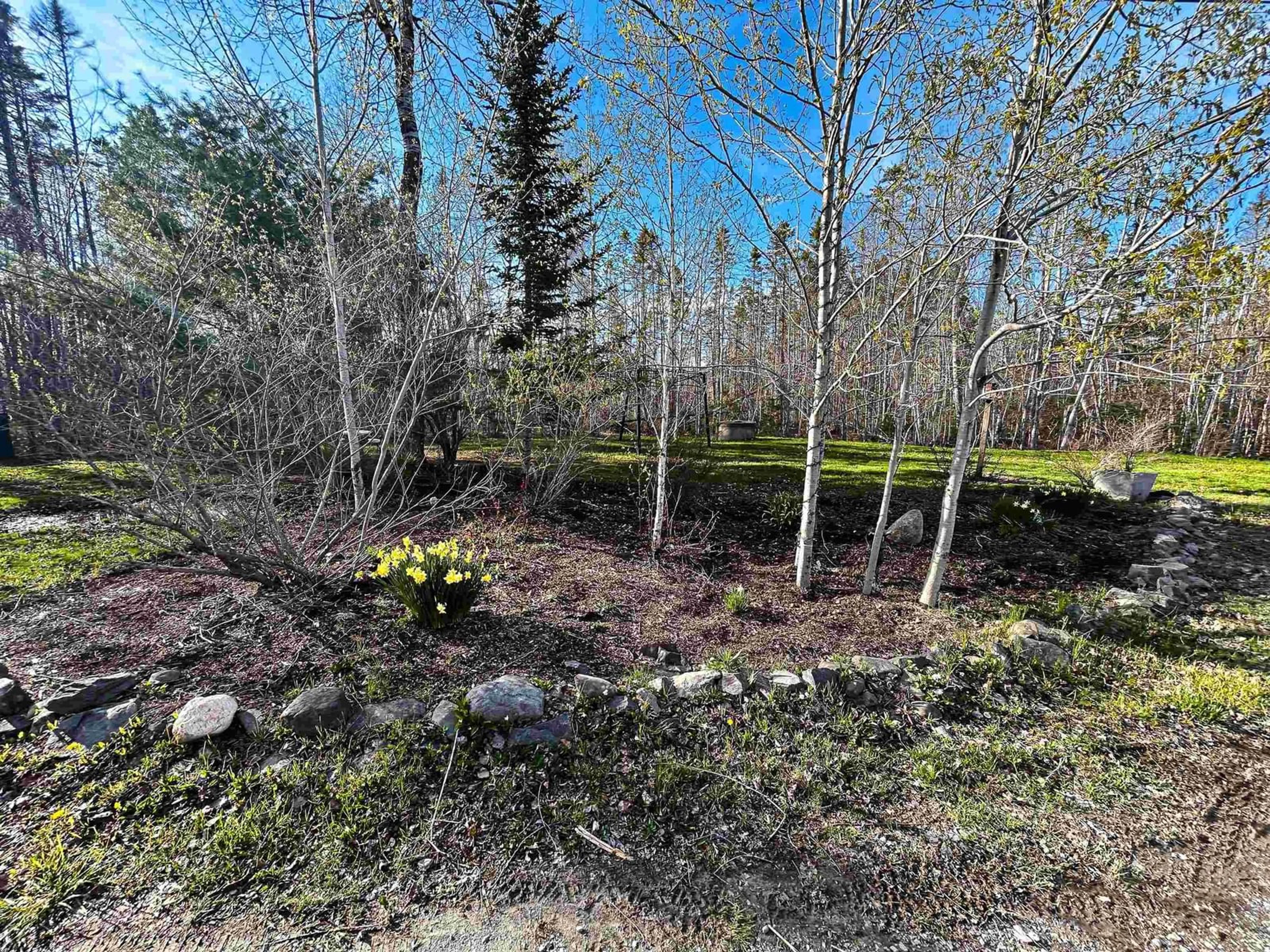A pic from outside/outdoor area/front of a property/back of a property/a pic from drone, forest/trees view for 41 Thomas St, Enfield Nova Scotia B2T 1T7