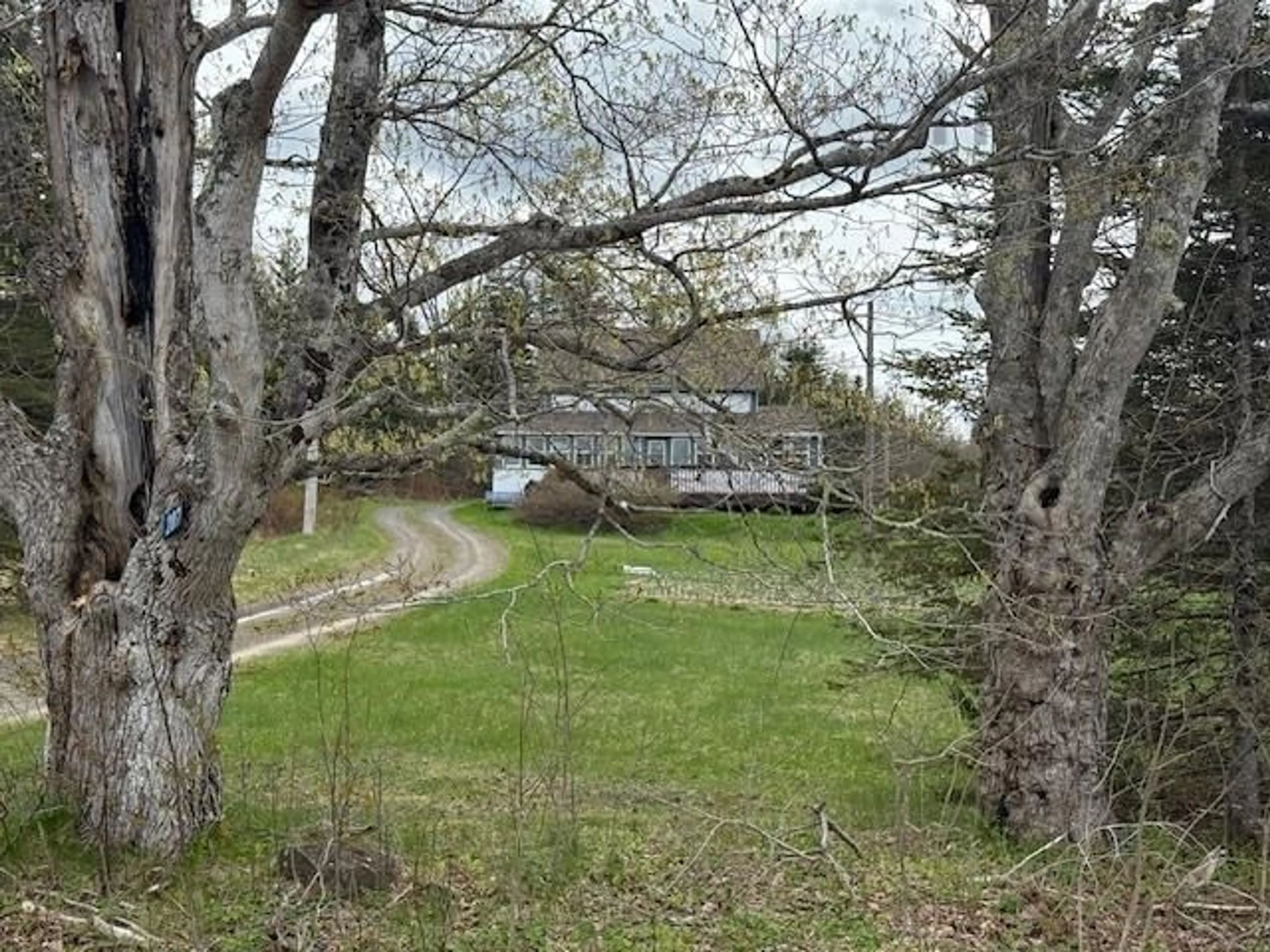 A pic from outside/outdoor area/front of a property/back of a property/a pic from drone, forest/trees view for 207 Bennetts Bay Rd, Bennett Bay Nova Scotia B0P 1H0