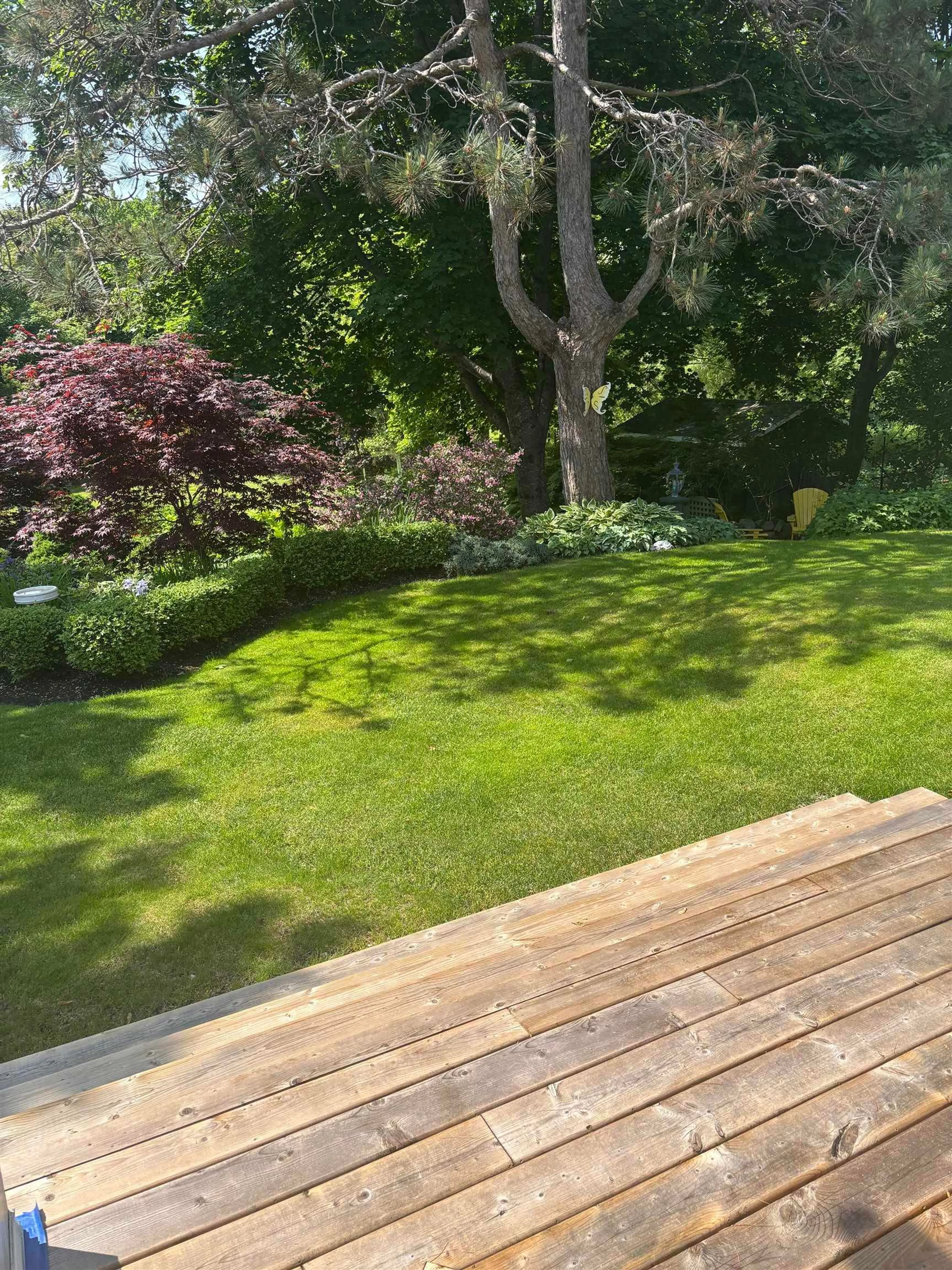 A pic from outside/outdoor area/front of a property/back of a property/a pic from drone, forest/trees view for 46 Highland Dr, Truro Nova Scotia B2N 1B9